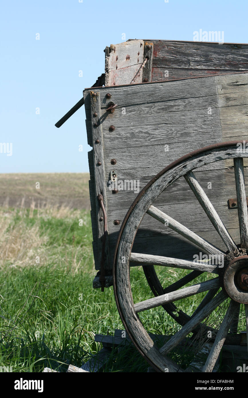 Un antiqe legno carro del grano in un campo di agricoltori sulle praterie in Morden, Manitoba, Canada Foto Stock