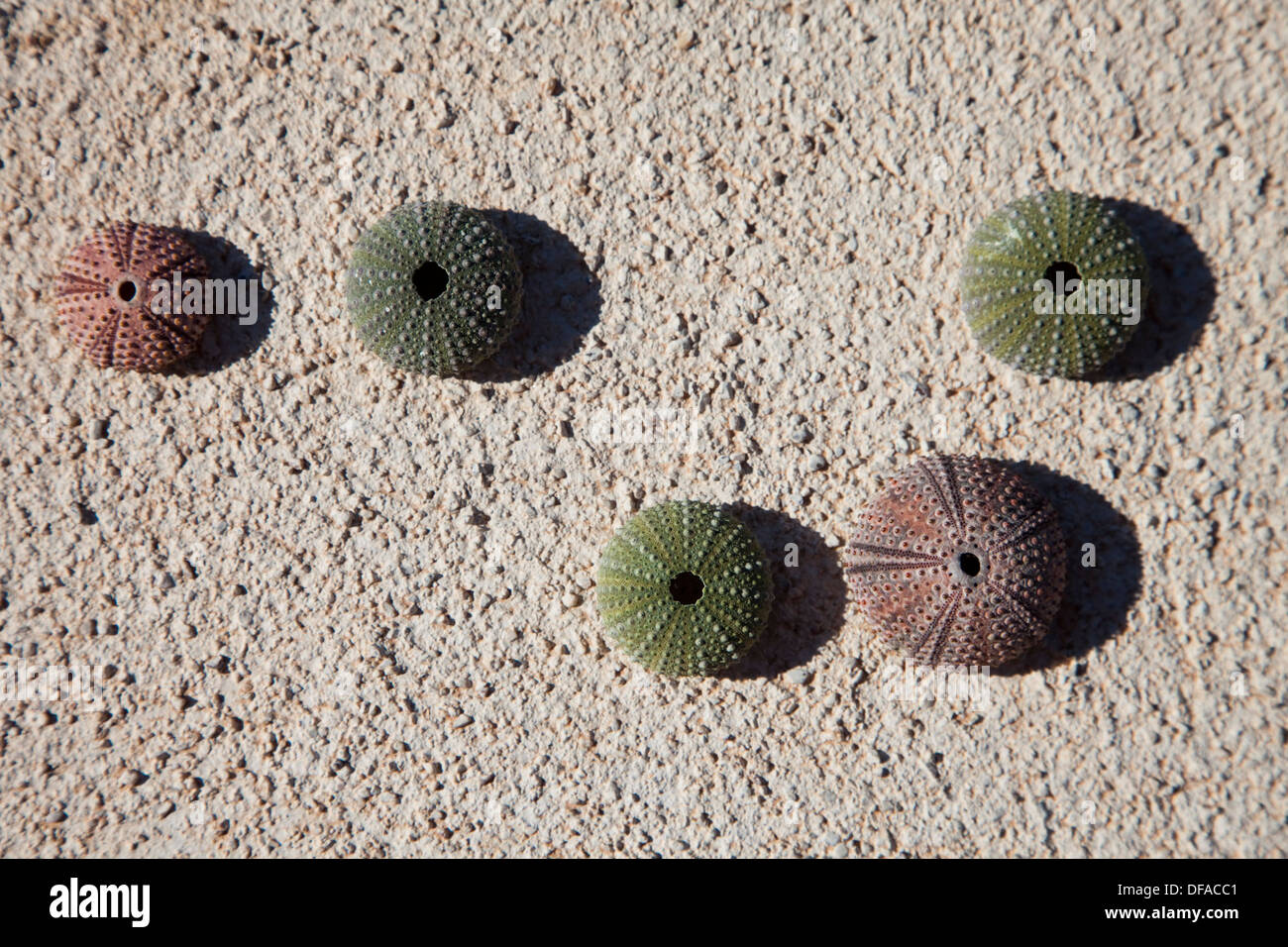 Mani, Grecia Foto Stock