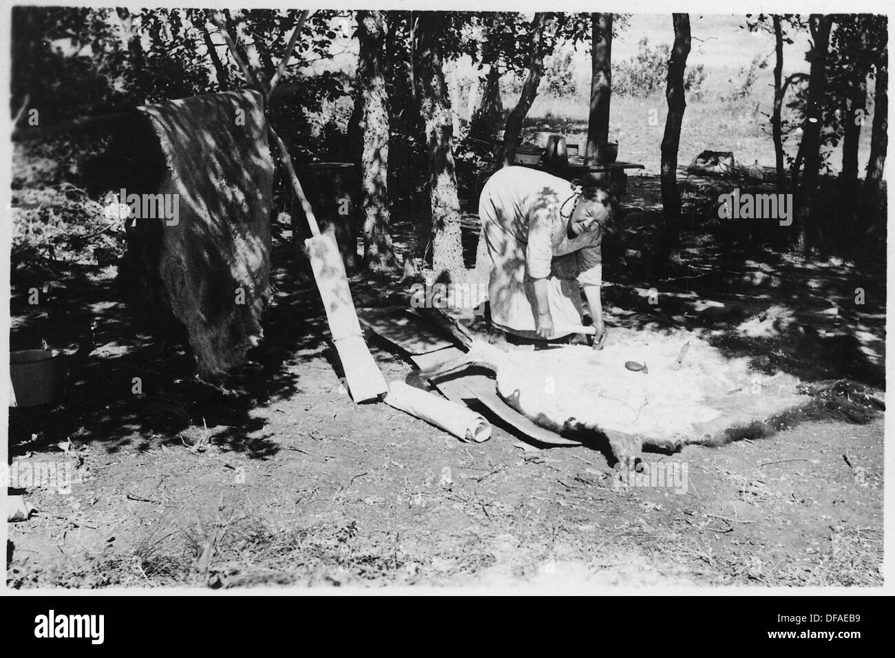 Questa fotografia mostra una donna che tira fuori la pelle di un animale, un processo tradizionale in molte culture indigene. L'attività fa parte della preparazione dei materiali da utilizzare in abbigliamento, attrezzi o ripari. Foto Stock