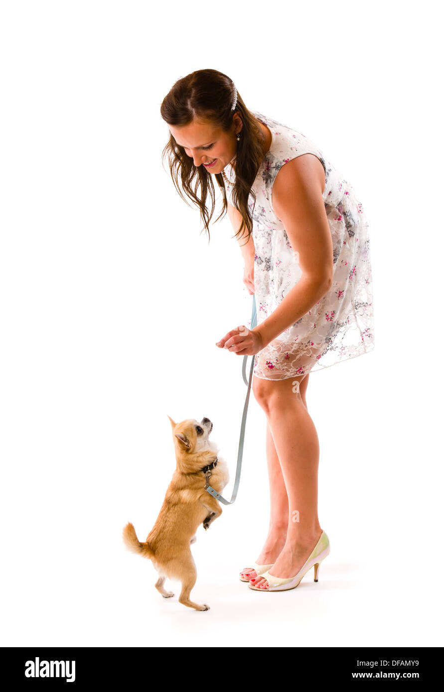 Attraente bella donna formazione il suo cane, sfondo bianco Foto Stock