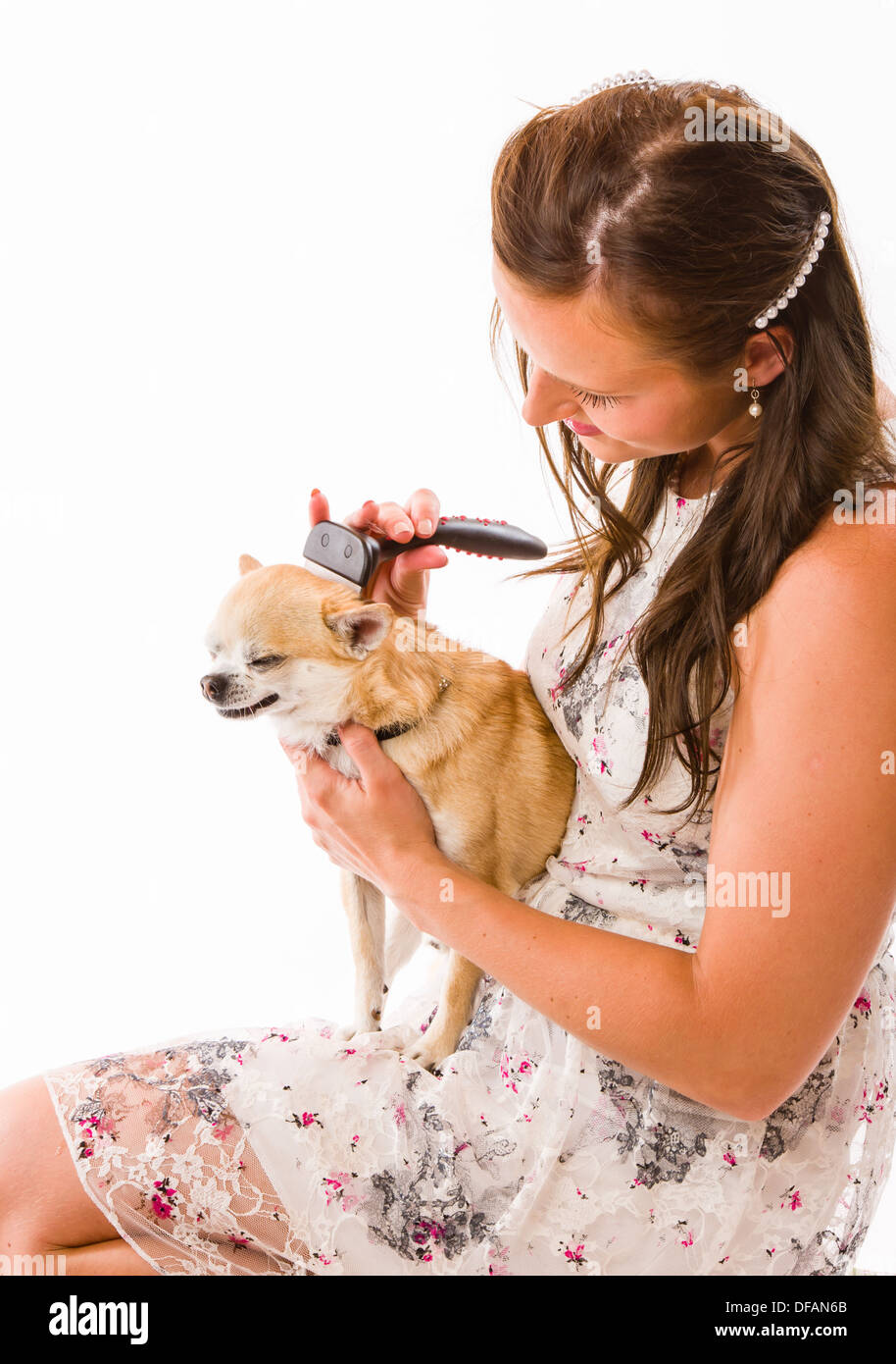 Attraente bella donna cura il suo cane, sfondo bianco Foto Stock