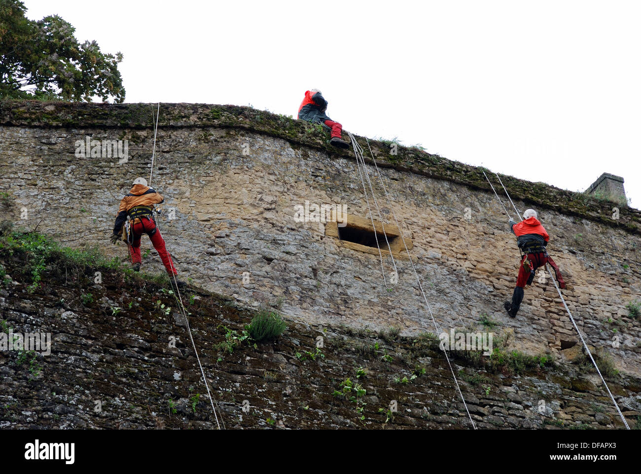 Manutenzione delle mura medievali - ripulendo dalle erbacce da discesa in corda doppia. Rodemack, Moselle, Lorena, Francia. Foto Stock