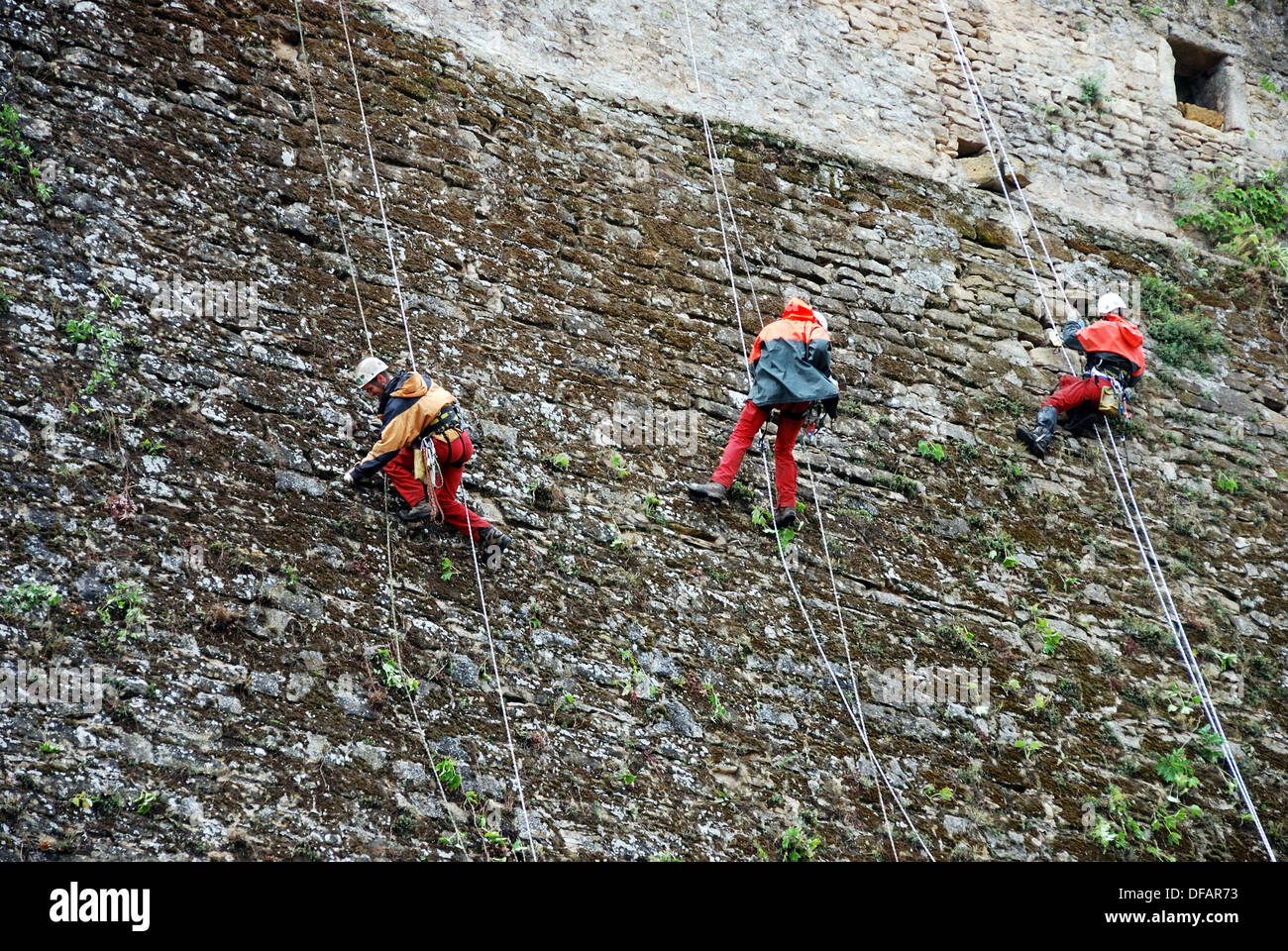 Manutenzione delle mura medievali - ripulendo dalle erbacce da discesa in corda doppia. Rodemack, Moselle, Lorena, Francia. Foto Stock