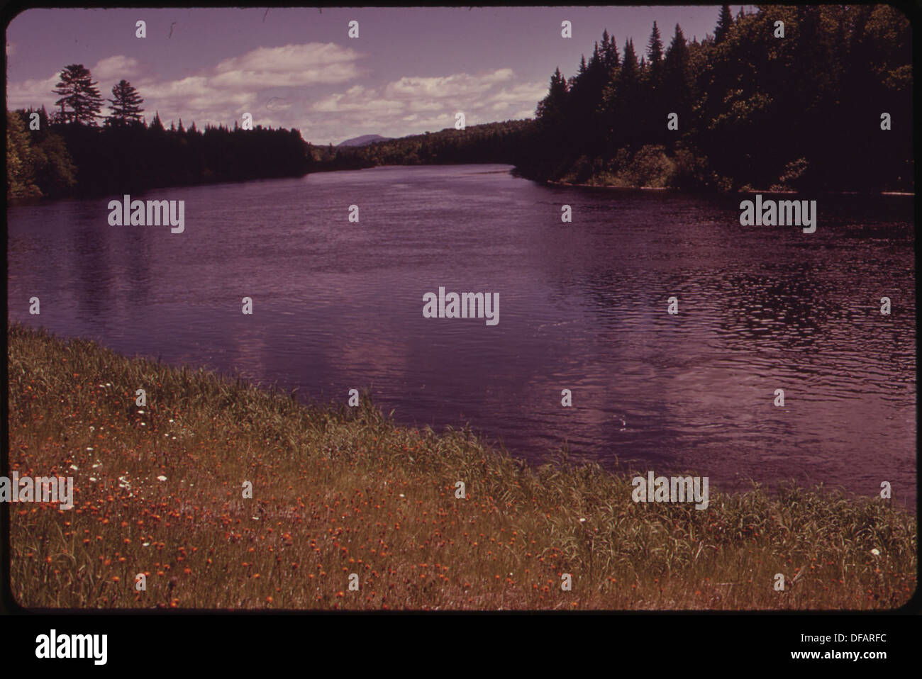 Il fiume Androscoggin scorre attraverso l'area di 21 Mile Woods vicino a Errol, New Hampshire, non lontano dalle sue sorgenti, conosciuta per la sua bellezza panoramica e il significato storico nel paesaggio naturale della regione. Foto Stock