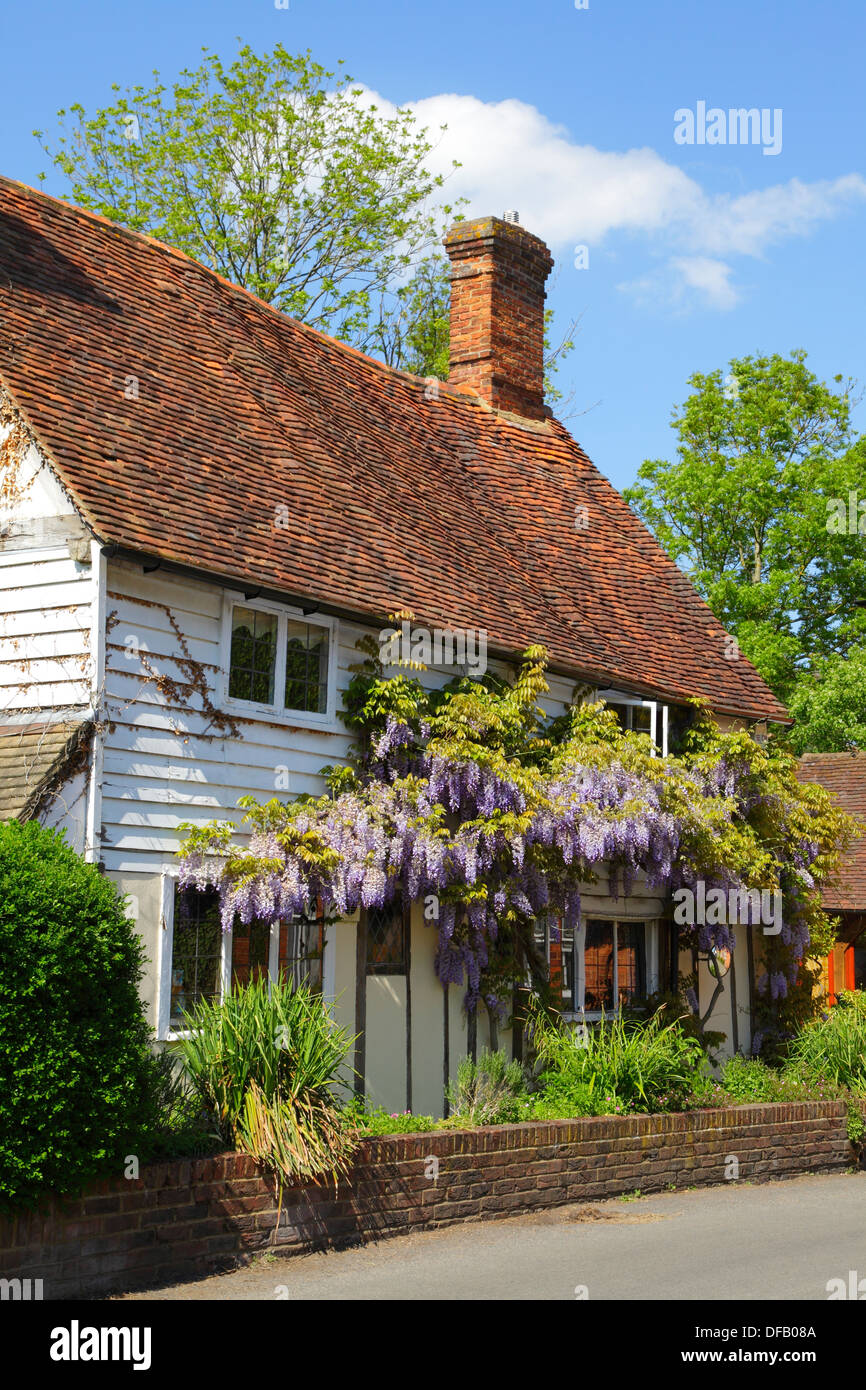 Il Glicine coperte tradizionali di Kentish clapboard cottage in villaggio Smarden Kent REGNO UNITO Foto Stock