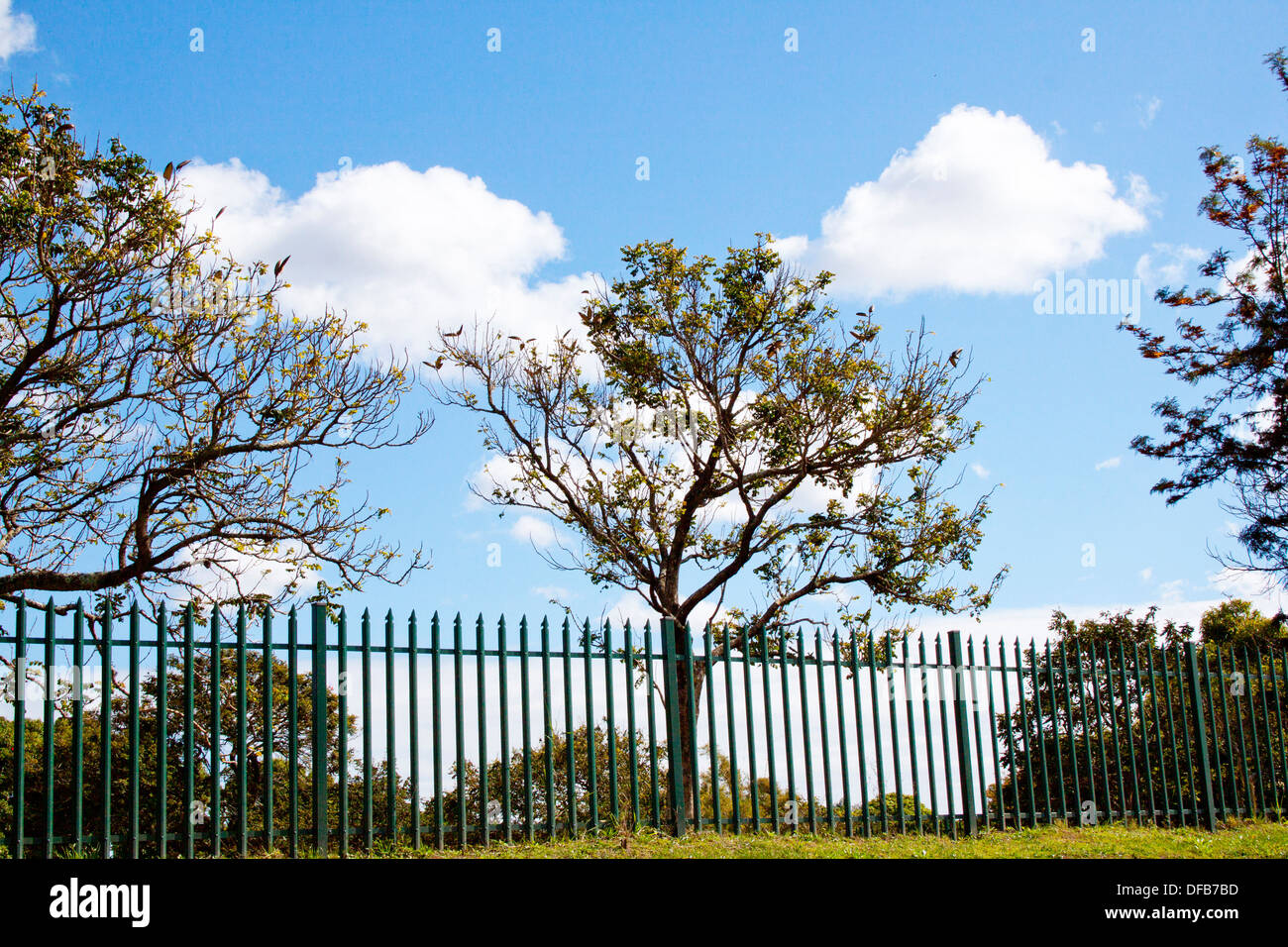 Vista panoramica di verde palizzata recinto di sicurezza e alberi Foto Stock