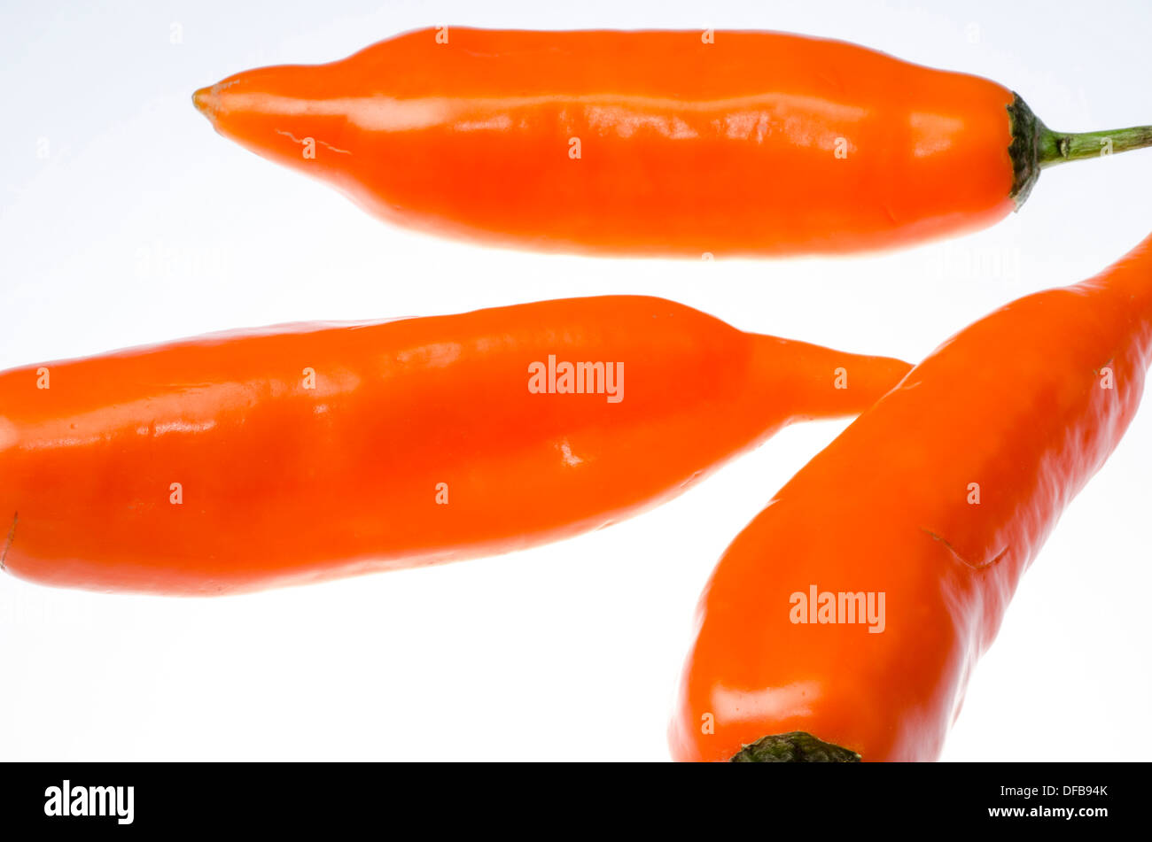 Peruviano peperone giallo ( Capsicum Baccatum ). Foto Stock