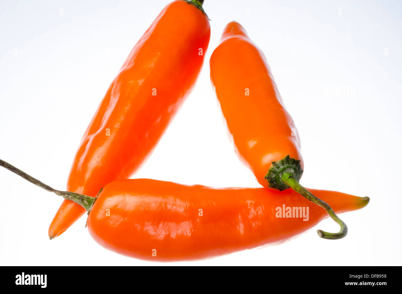 Peruviano peperone giallo ( Capsicum Baccatum ). Foto Stock