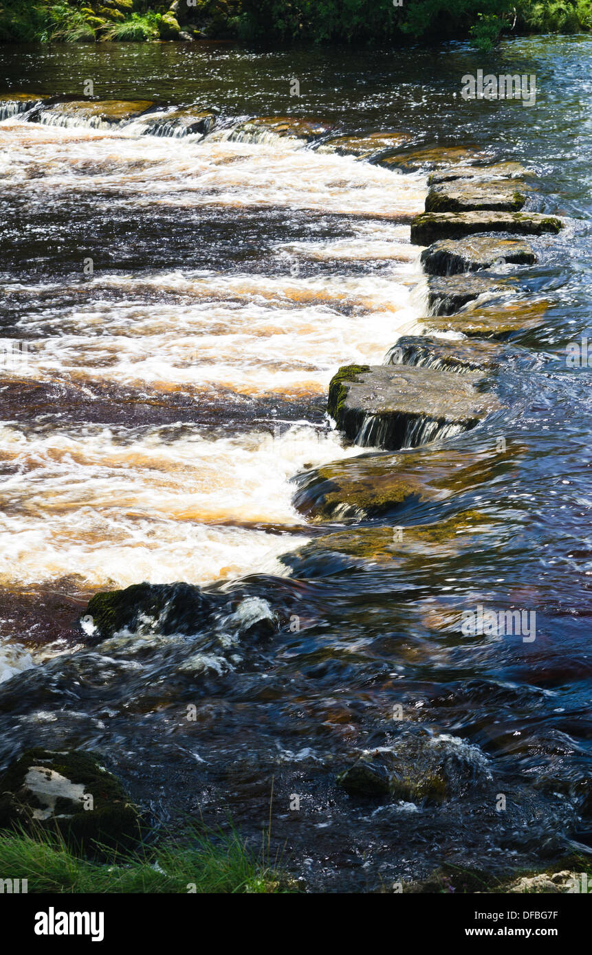 Pietre miliari su un fiume in Wensleydale Foto Stock