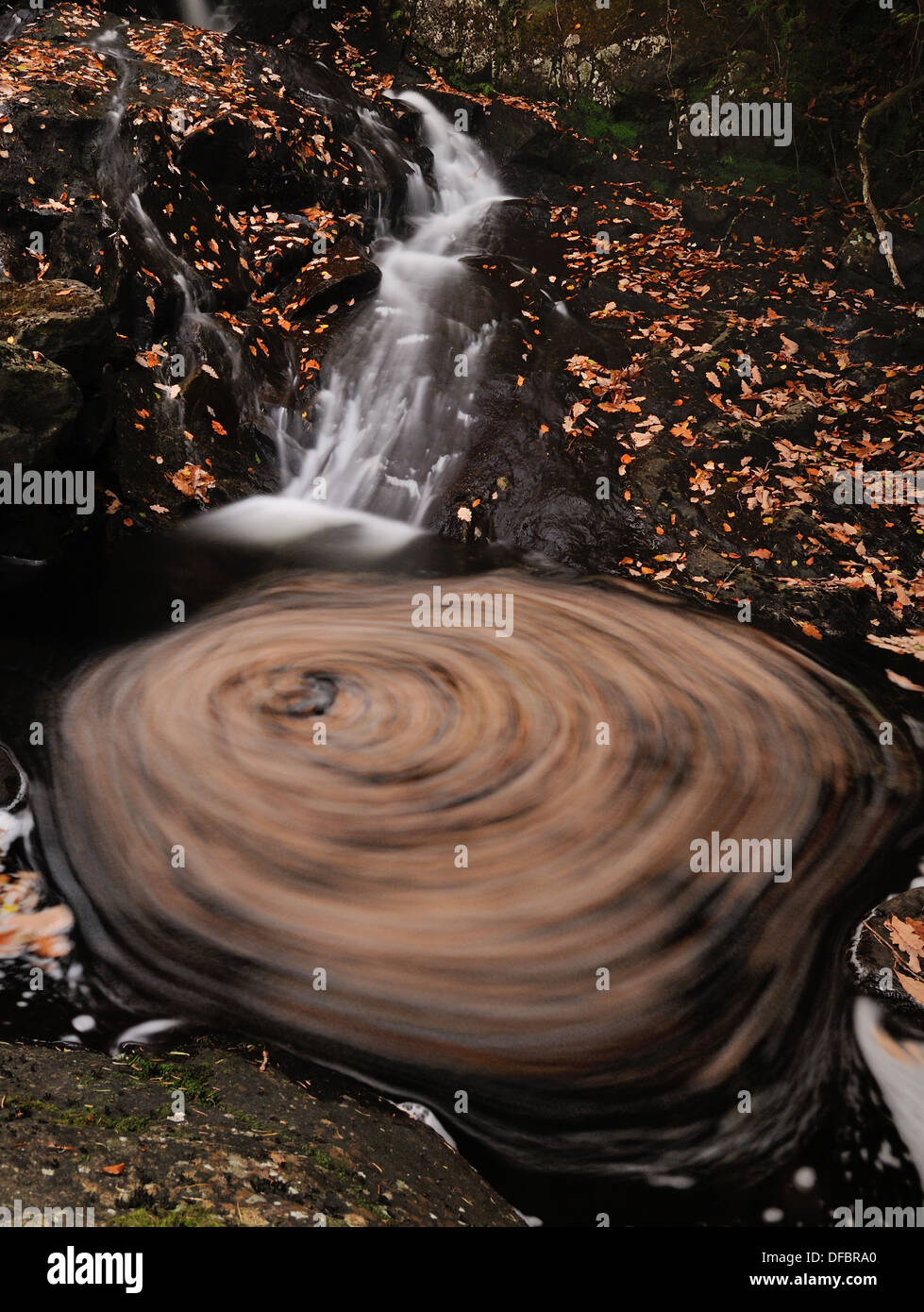 Foglie di vorticazione e cascata a Launchy Gill, inglese parco Nazionale del Distretto dei Laghi Foto Stock