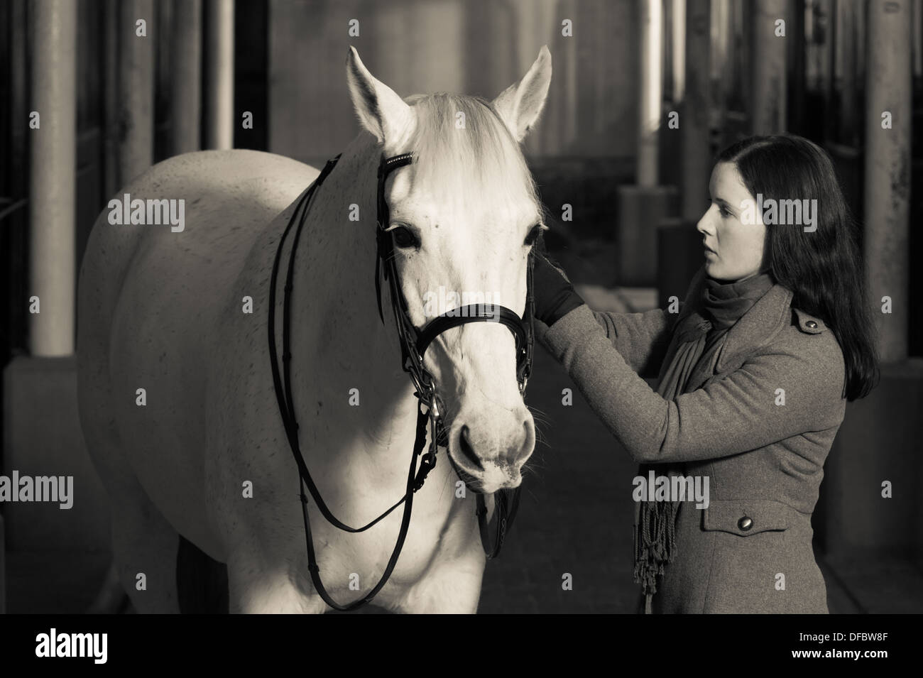 Donna briglia un cavallo in stallo Foto Stock