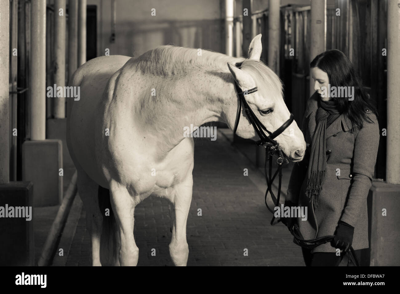 Donna e cavallo bianco all'interno di un fienile, formato con orizzonte di riferimento Foto Stock