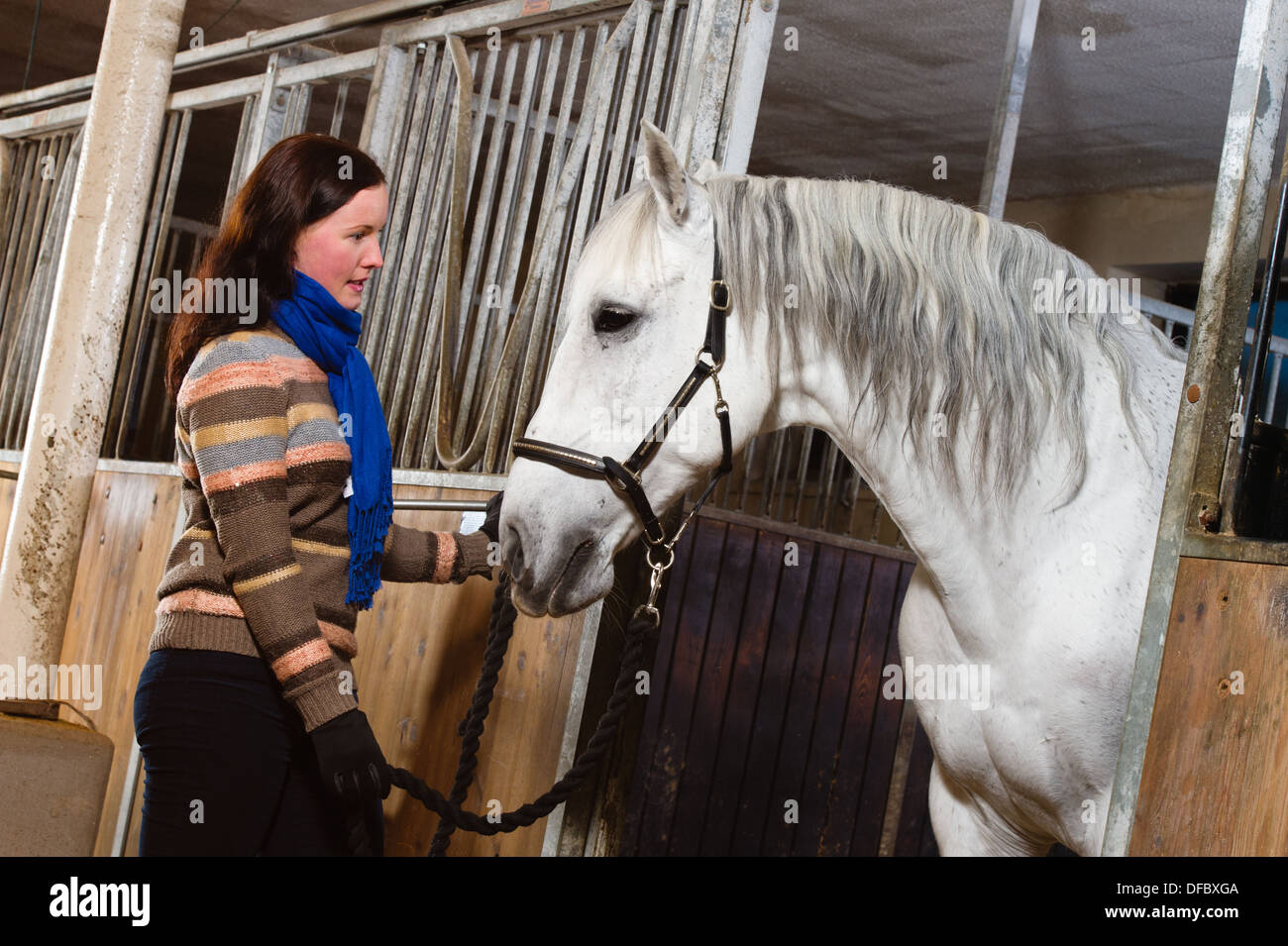 Donna e cavallo bianco all'interno di una stalla, formato con orizzonte di riferimento Foto Stock