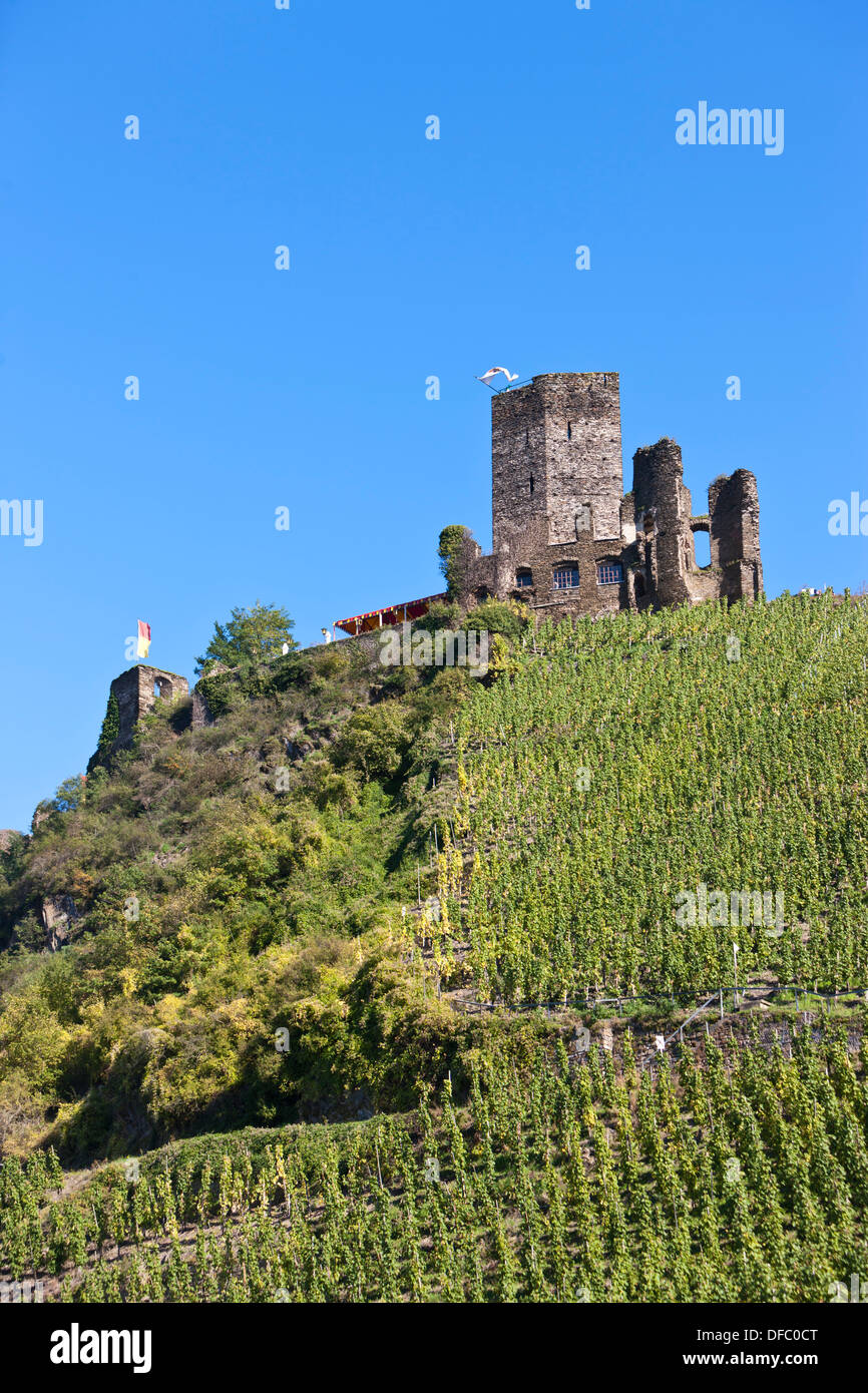 In Germania, in Renania Palatinato, vista del castello di Metternich Foto Stock