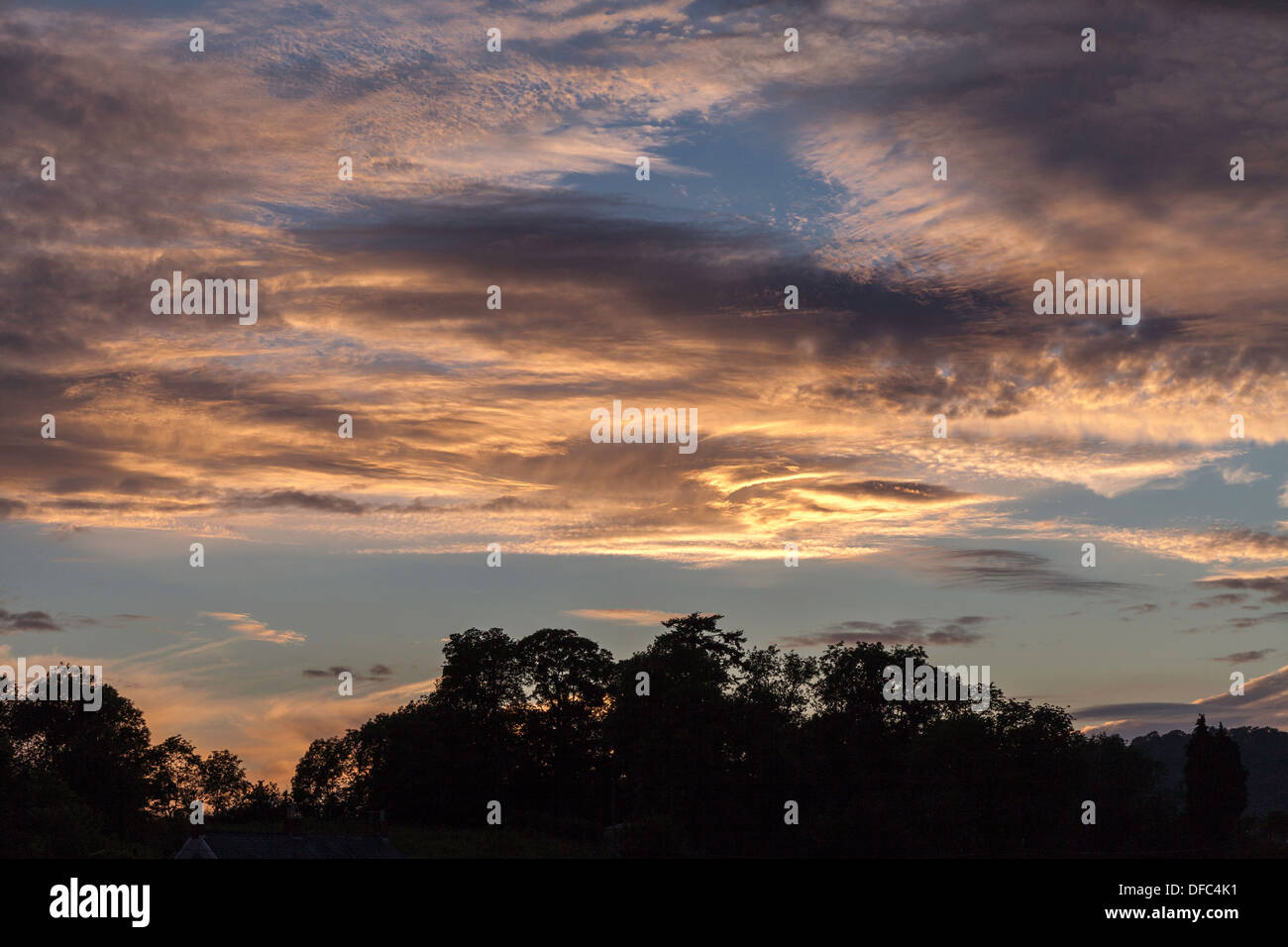 Cielo di sera con nuvole drammatico Regno Unito . Alberi stagliano contro sky. Foto Stock