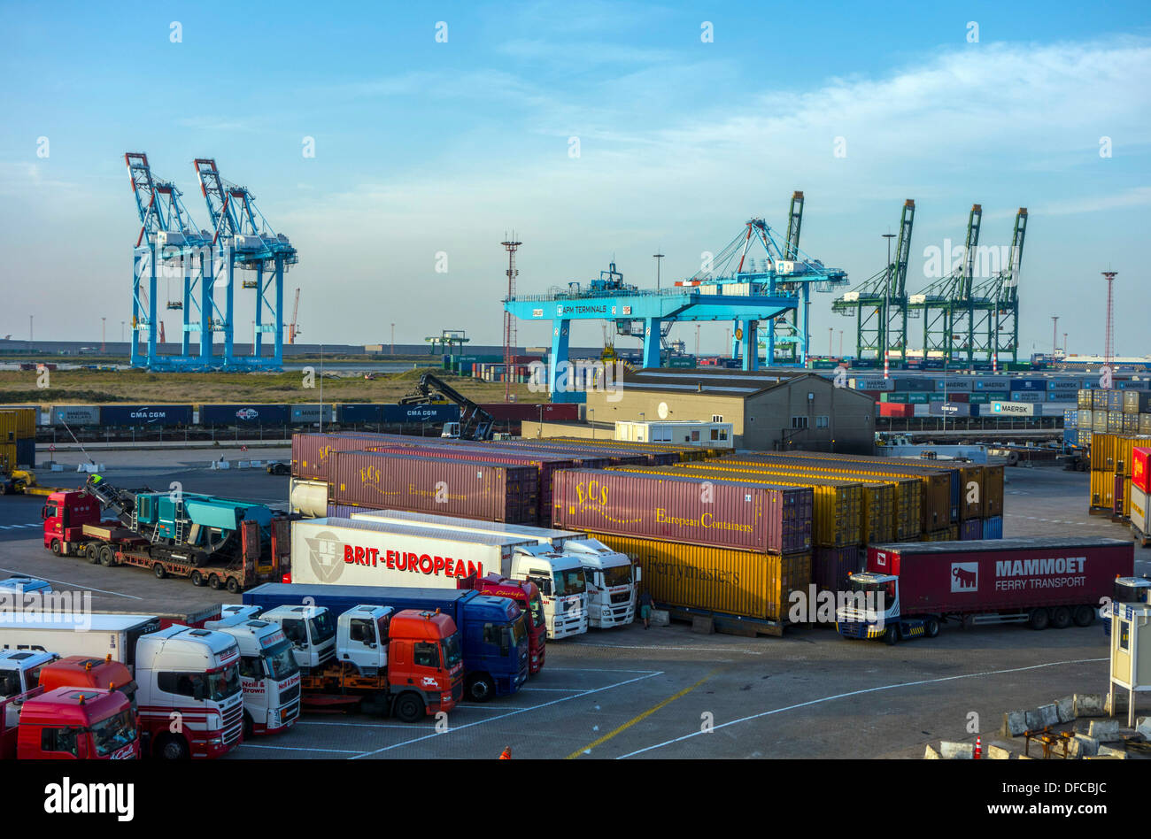 Porto di Zeebrugge e terminale per container, commercio, con navi, gru e contenitori Foto Stock