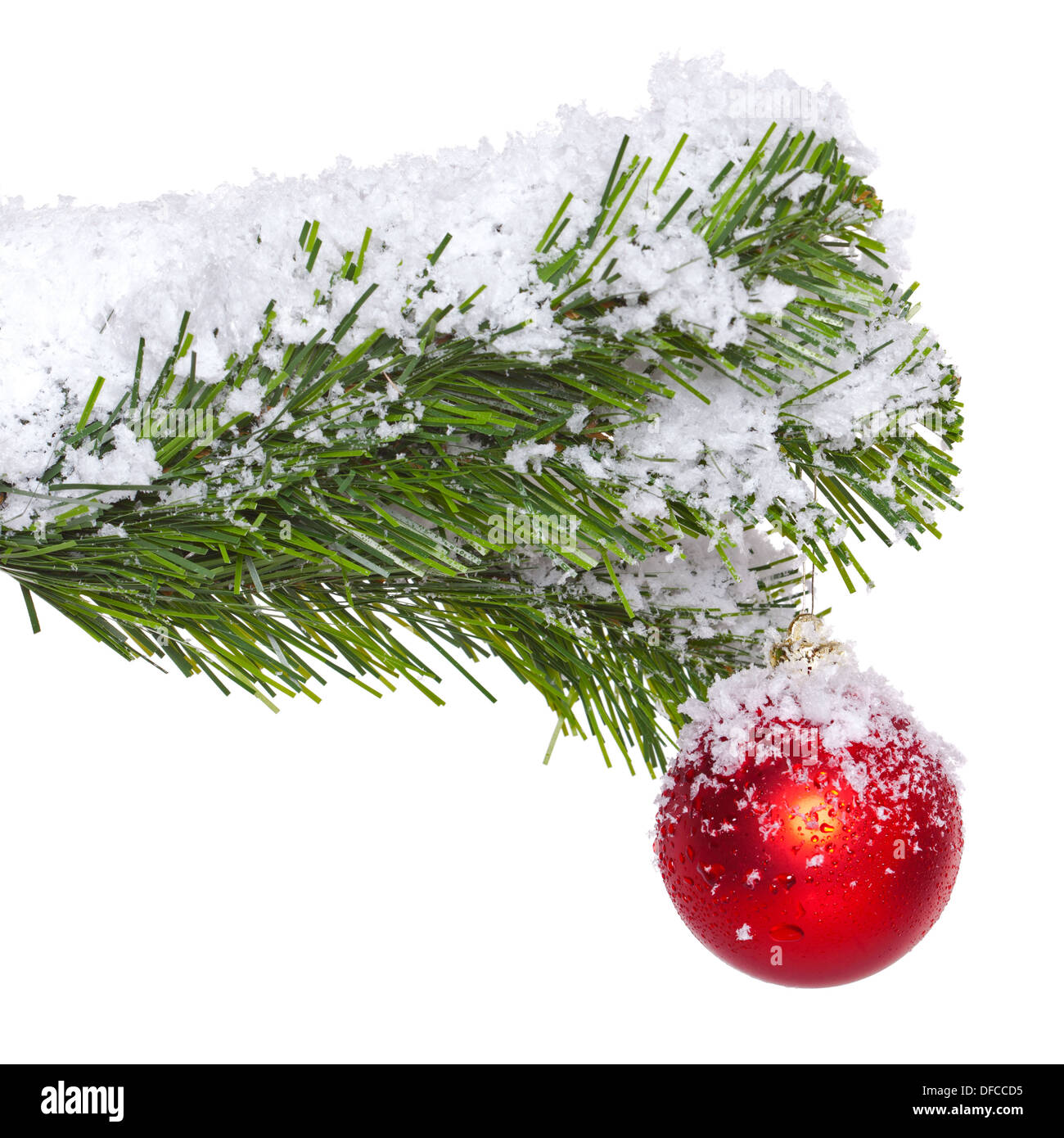In prossimità di una pallina rossa su un albero di Natale ramo coperto di neve. Foto Stock
