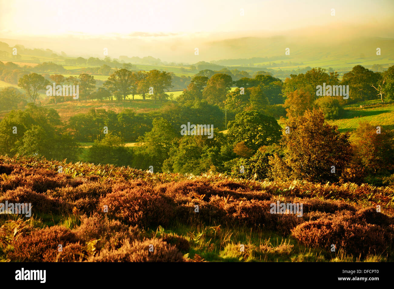 Westerdale a sunrise. North Yorks National Park, North Yorkshire, Inghilterra Foto Stock