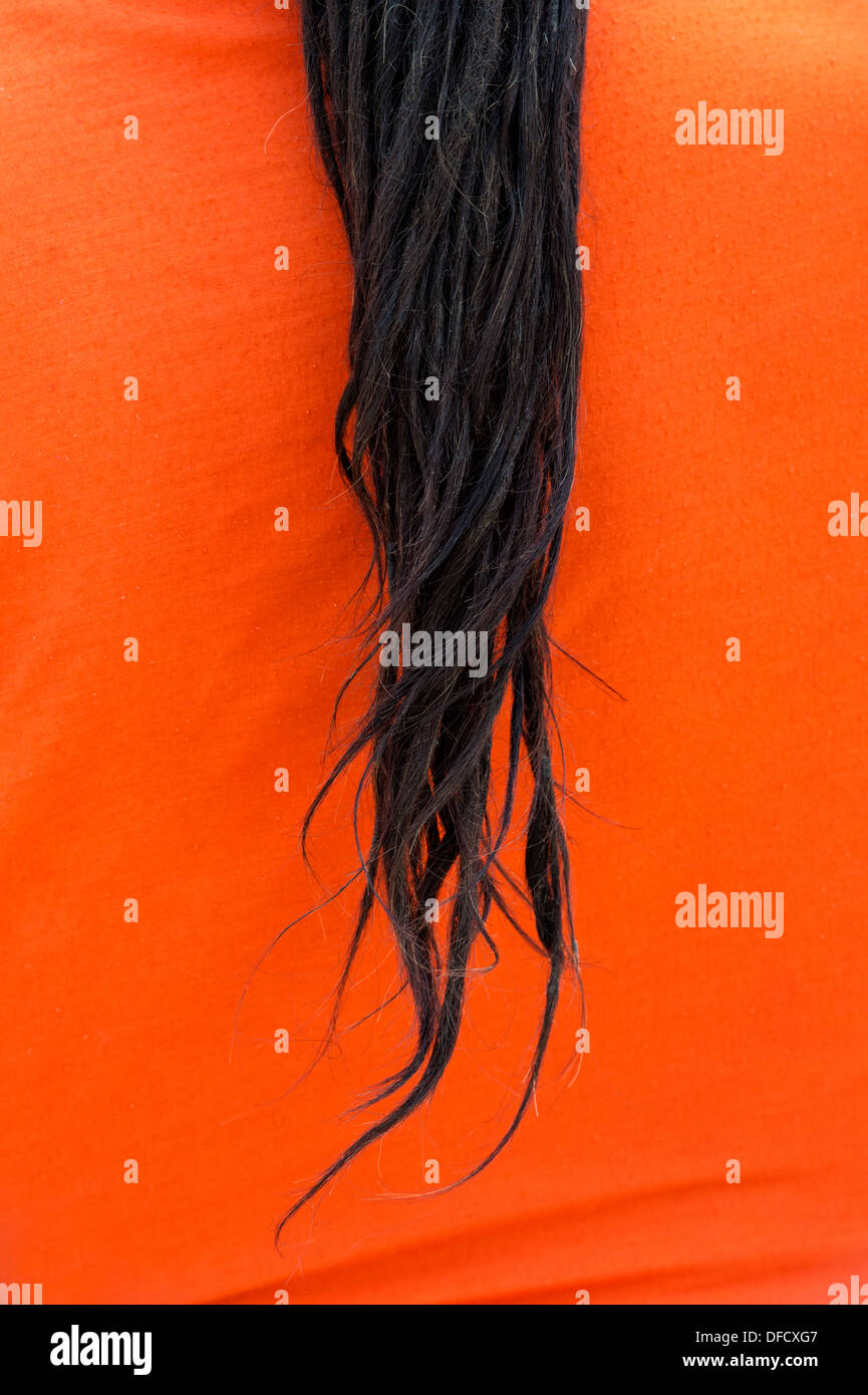 Indian Sadhus dreadlocks contro la sua tela arancione. India Foto Stock