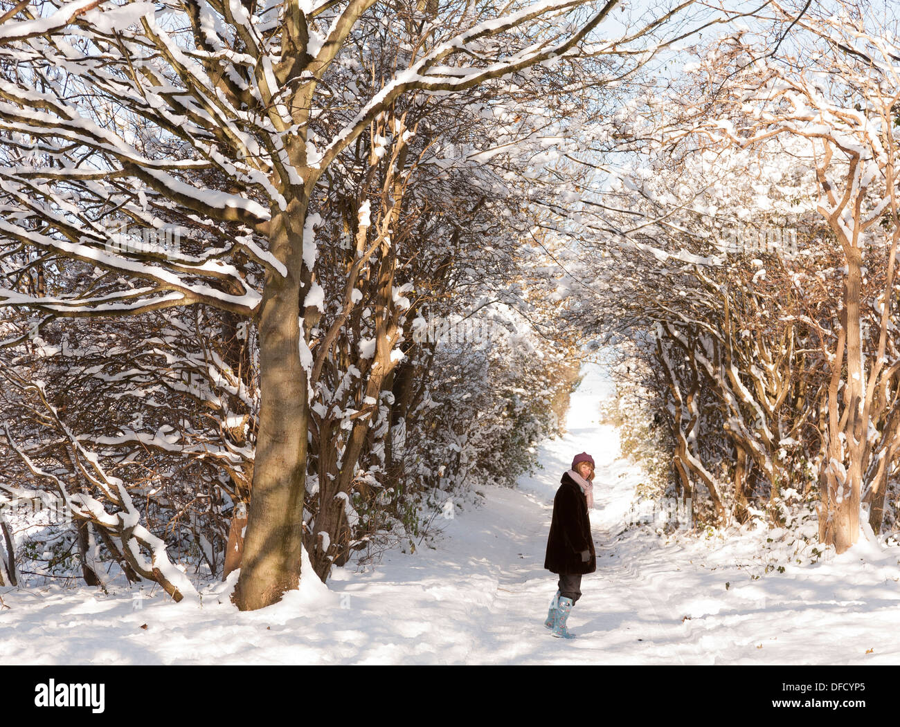 Un wintery nevoso di scena a Bevendean giù Riserva Naturale, Brighton Foto Stock