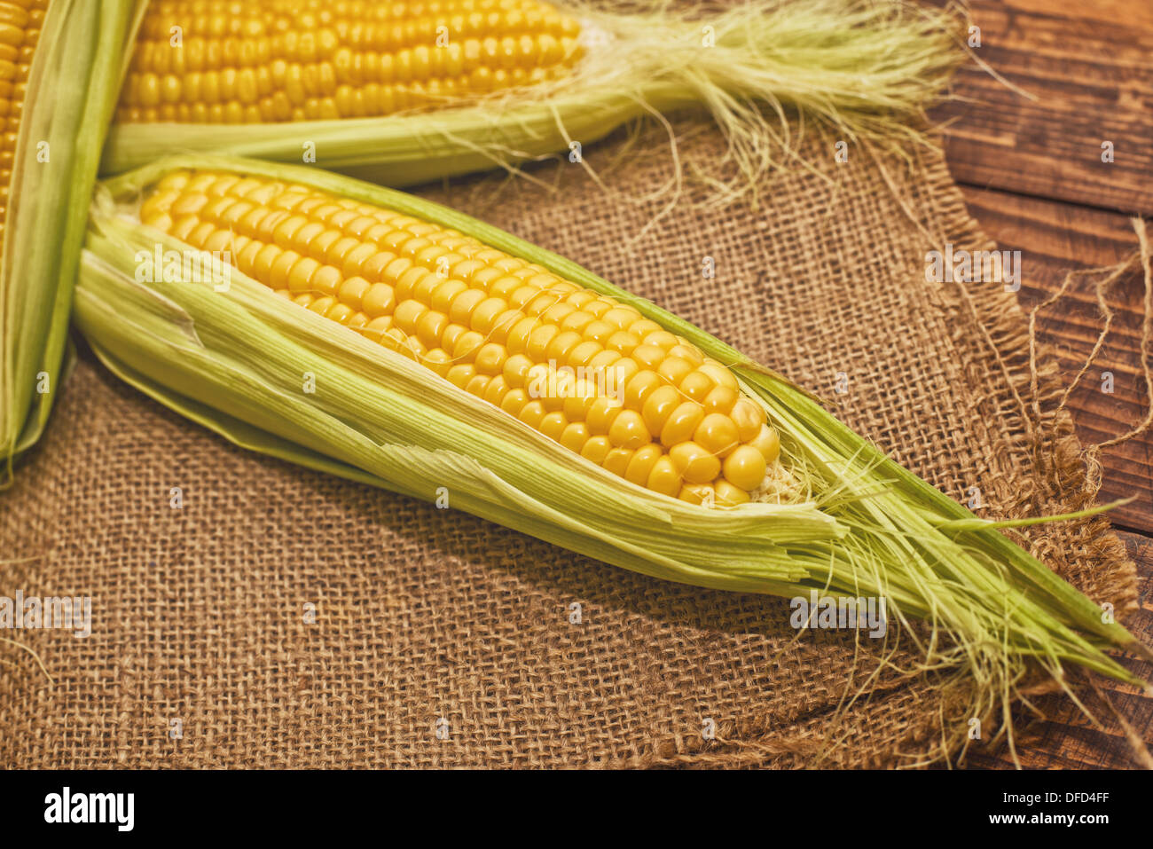 Spiga del granoturco su sfondo di legno. Autunno stagione di mietitura. Foto Stock