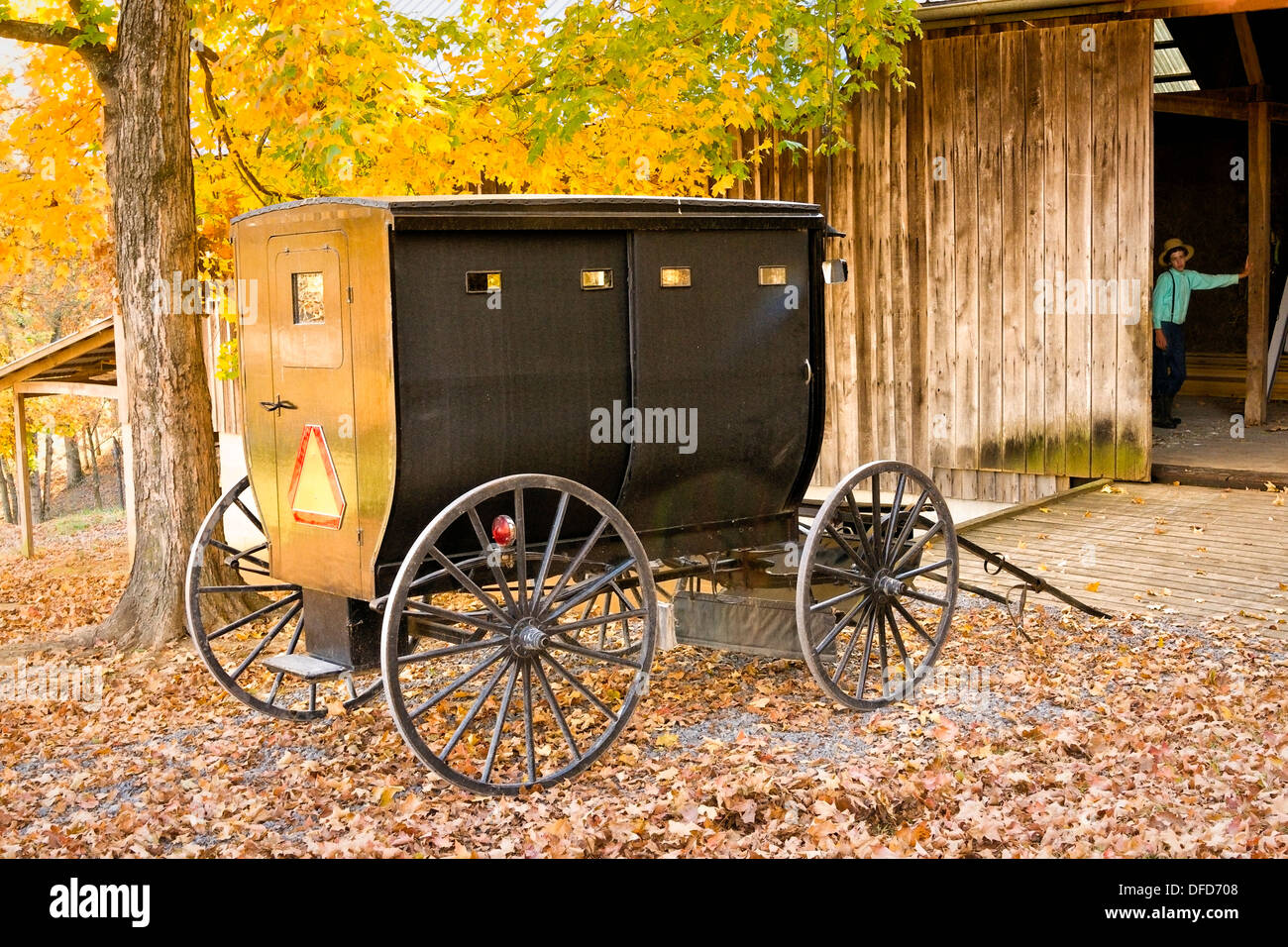 Ragazzo Amish in fienile guarda buggy in viale di accesso Foto Stock