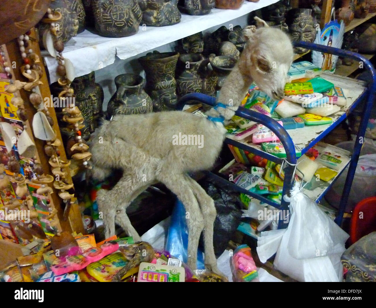 Essiccato Llama feti in vendita nel mercato delle streghe a La Paz, in Bolivia Foto Stock