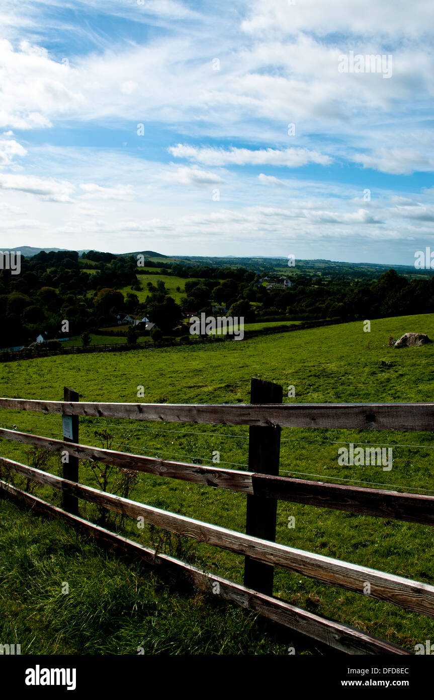 Lato paese, Irlanda Foto Stock