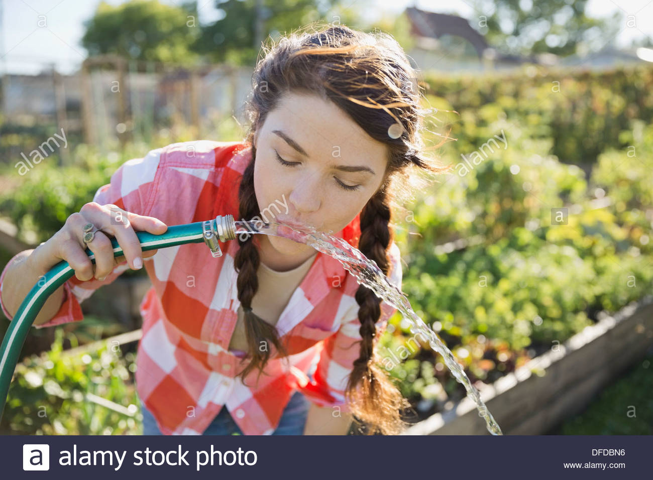 Donna di bere acqua dal tubo flessibile da giardino Foto Stock
