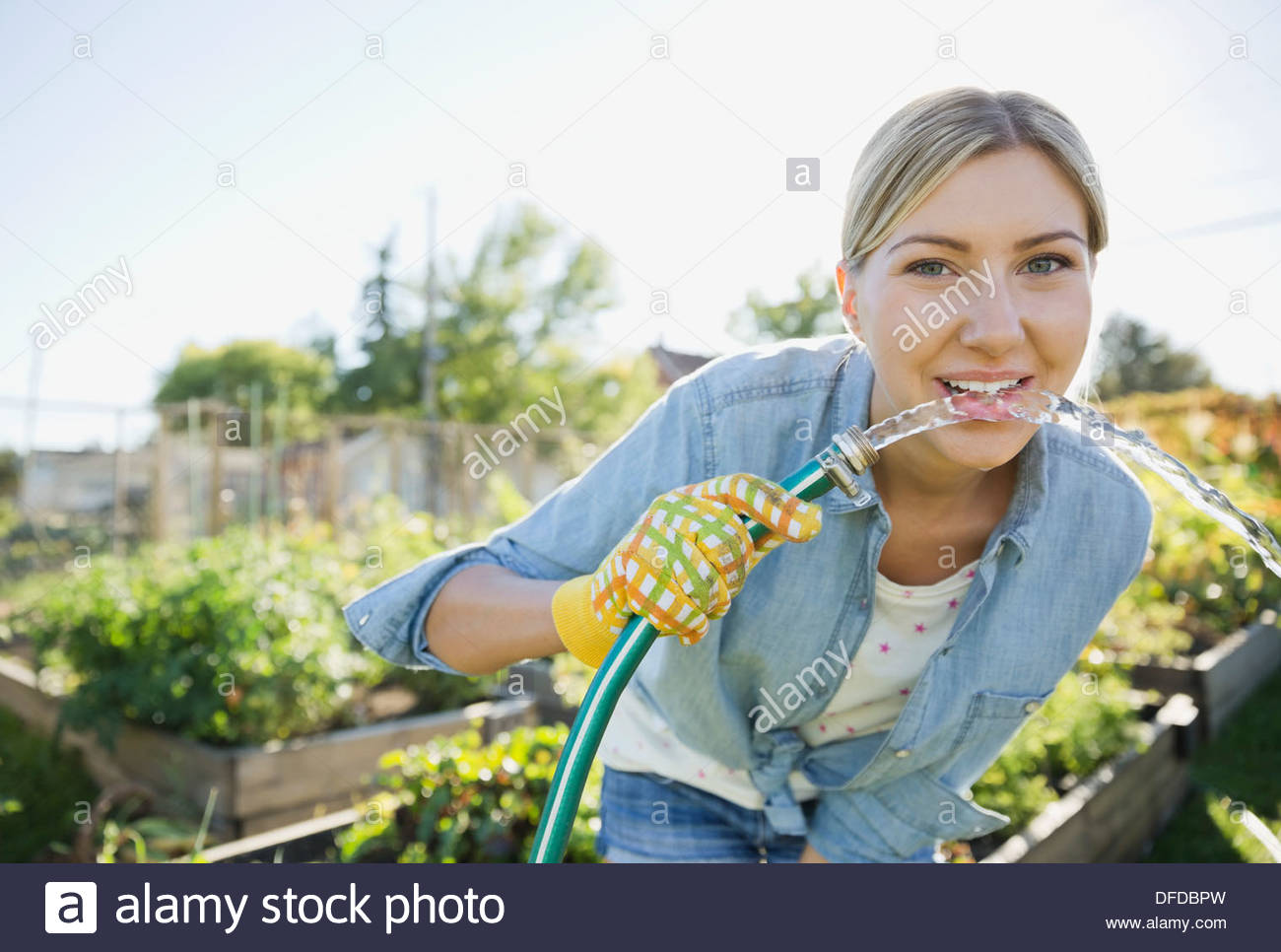 Donna di piegarsi per bere acqua dal tubo flessibile da giardino Foto Stock
