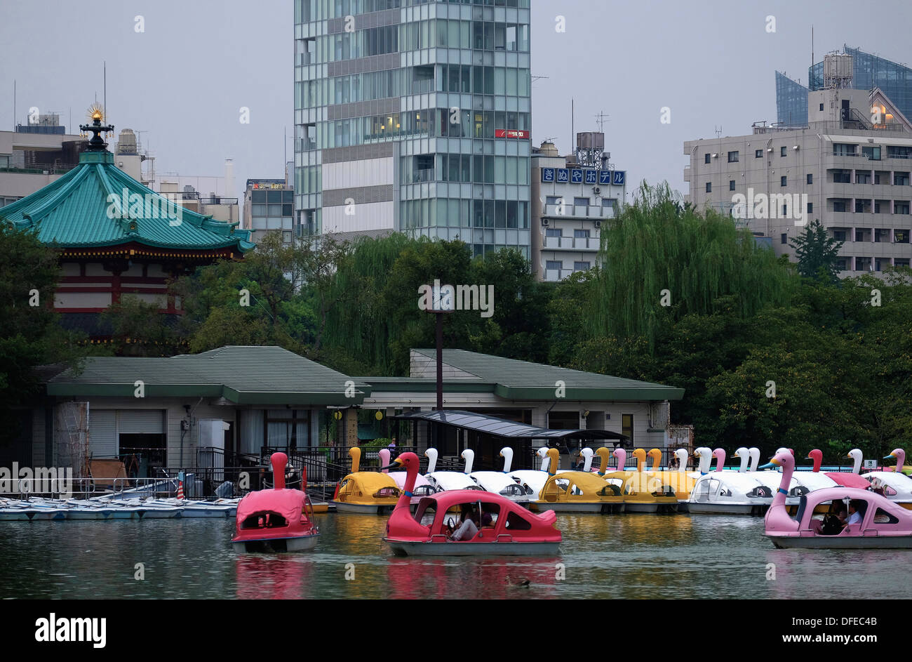 Imbarcazioni cigno galleggiante sul laghetto, il parco Ueno. Foto Stock