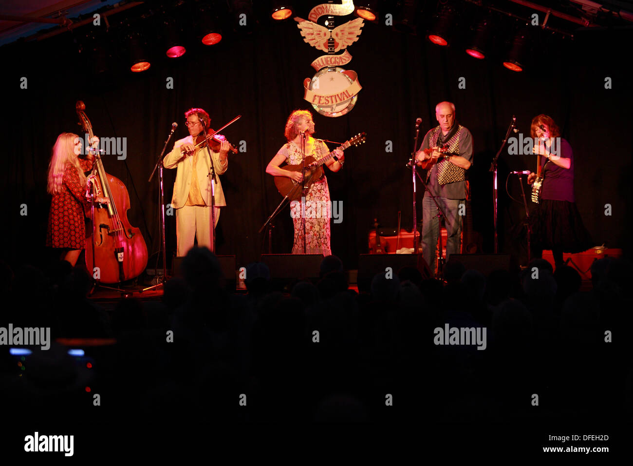 Azione dal Didmarton Bluegrass Festival 2013 Foto Stock