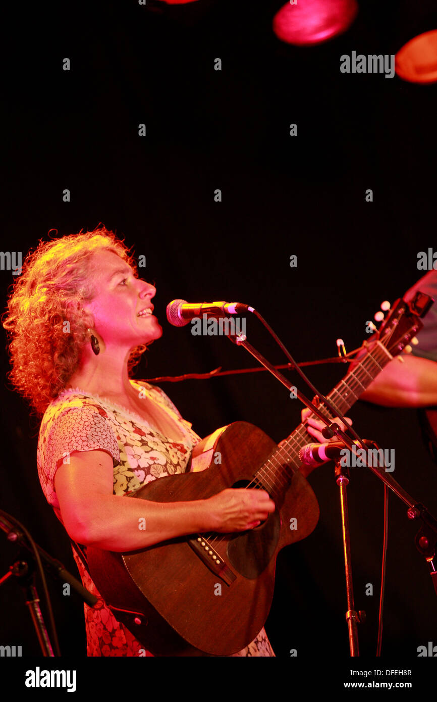 Azione dal Didmarton Bluegrass Festival 2013 Foto Stock