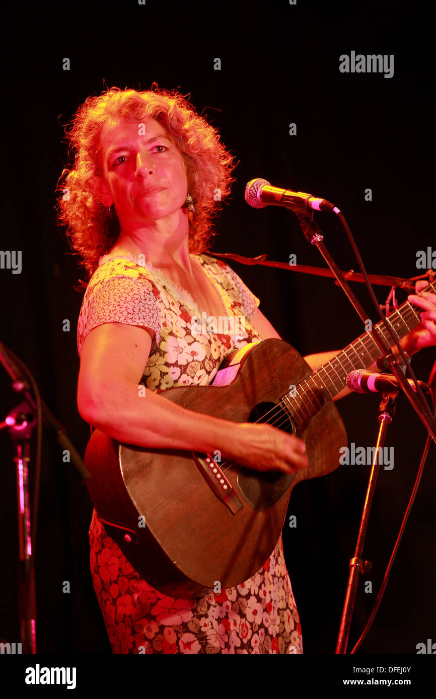 Azione dal Didmarton Bluegrass Festival 2013 Foto Stock