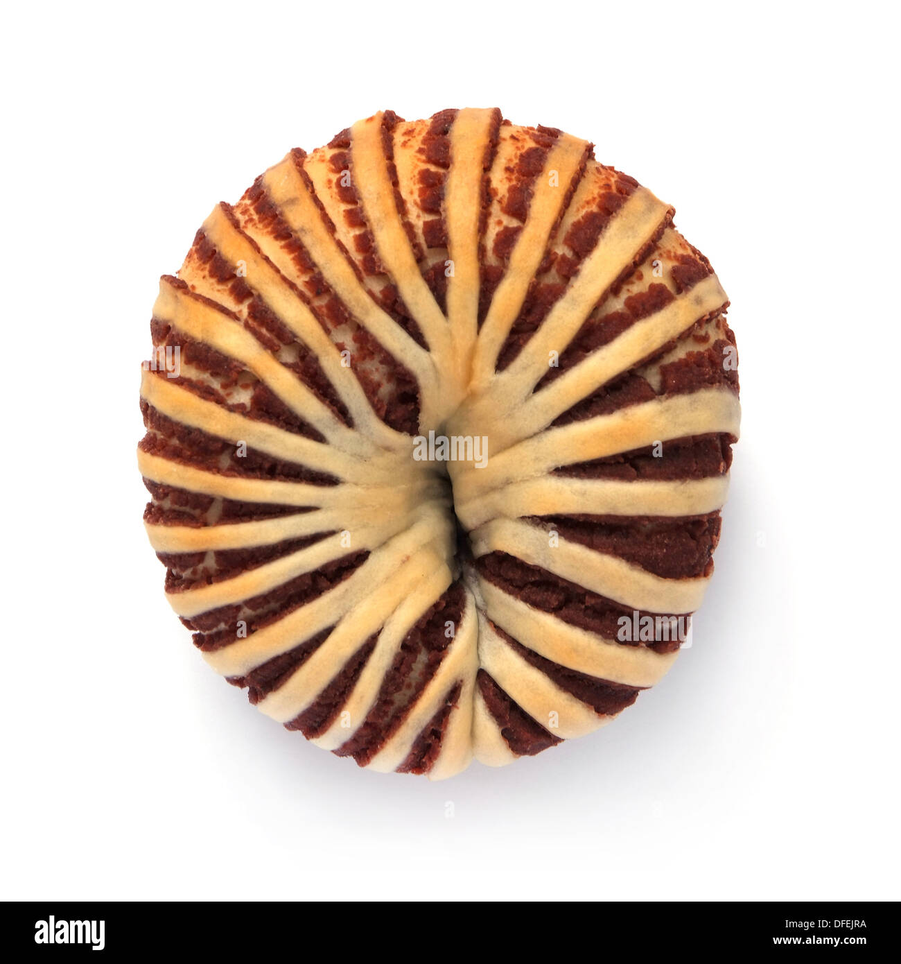 Appetitoso pane taro isolato su uno sfondo bianco Foto Stock