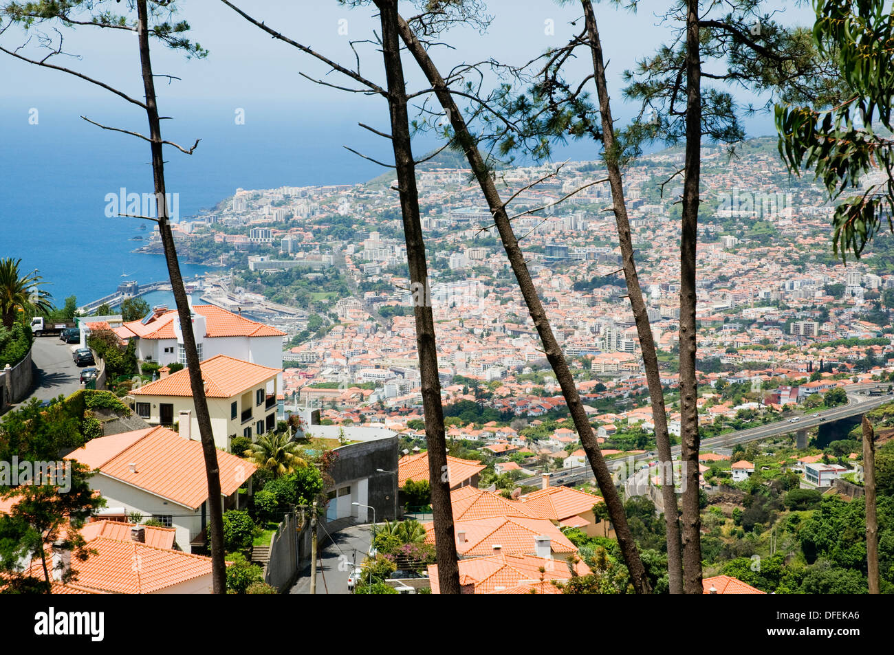 Funchal, la capitale di Madeira, visto dal Palheiro Estate zona residenziale situato in alto sopra la città. Foto Stock
