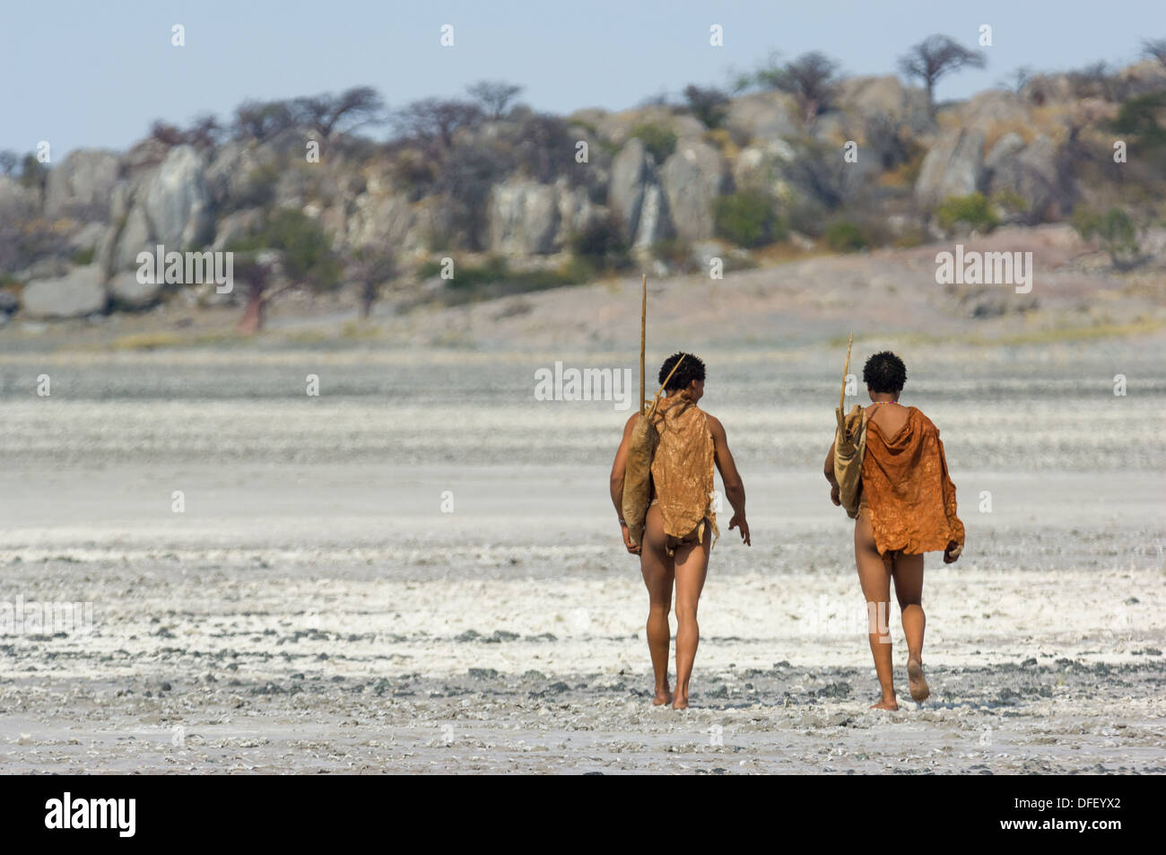 San bushman trackers attraversando a piedi il incrinato pan verso l'antico affioramento di granito di Kubu Island (Lekhubu), Makgadikgadi Pan, Botswana Foto Stock