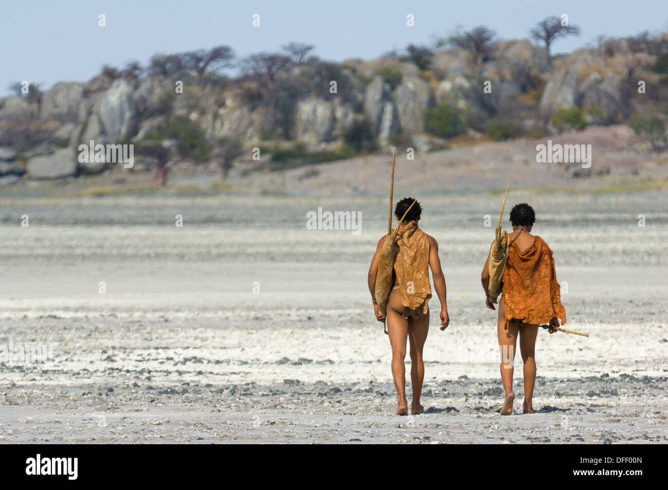 San bushman trackers attraversando a piedi il incrinato pan verso l'antico affioramento di granito di Kubu Island (Lekhubu), Makgadikgadi Pan, Botswana Foto Stock