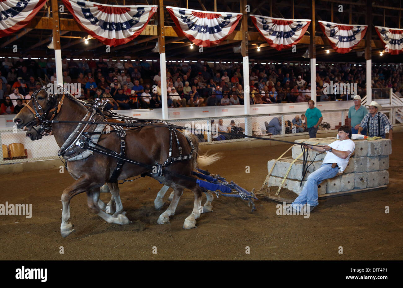 Progetto team di cavallo in tirando la concorrenza, Fryeburg Fair, Fryeburg, Maine, Stati Uniti d'America Foto Stock