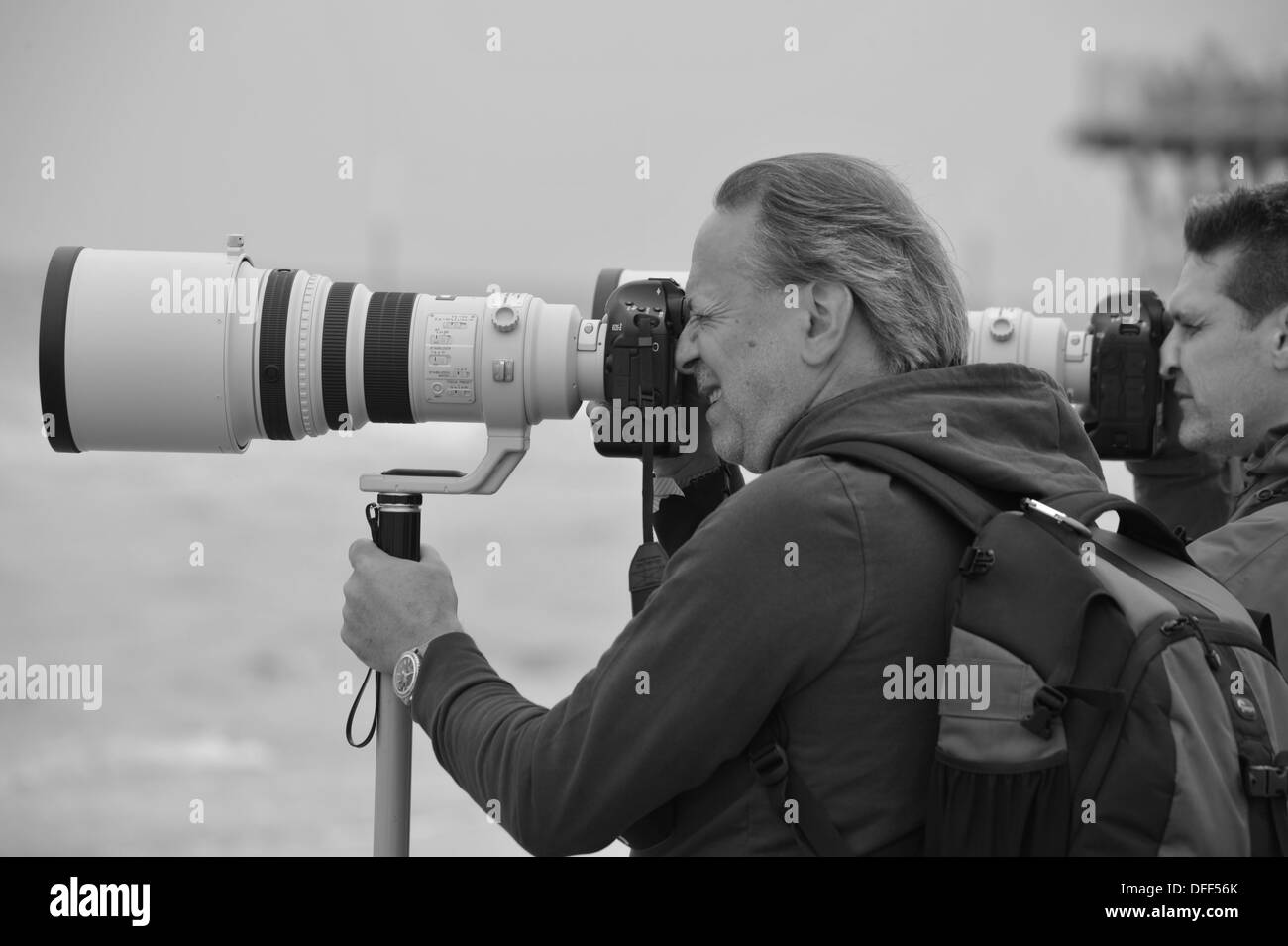 Beetle Kitesurf World Cup 2013, San Peter-Ording, Germania. Premere utilizzare solo. Foto Stock