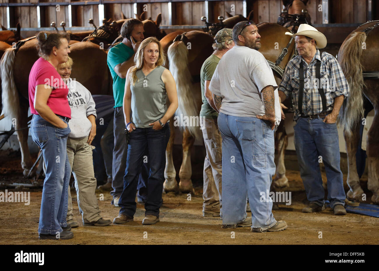 Gli spettatori a un progetto di cavallo tirando la concorrenza, Fryeburg Fair, Fryeburg, Maine, Stati Uniti d'America Foto Stock