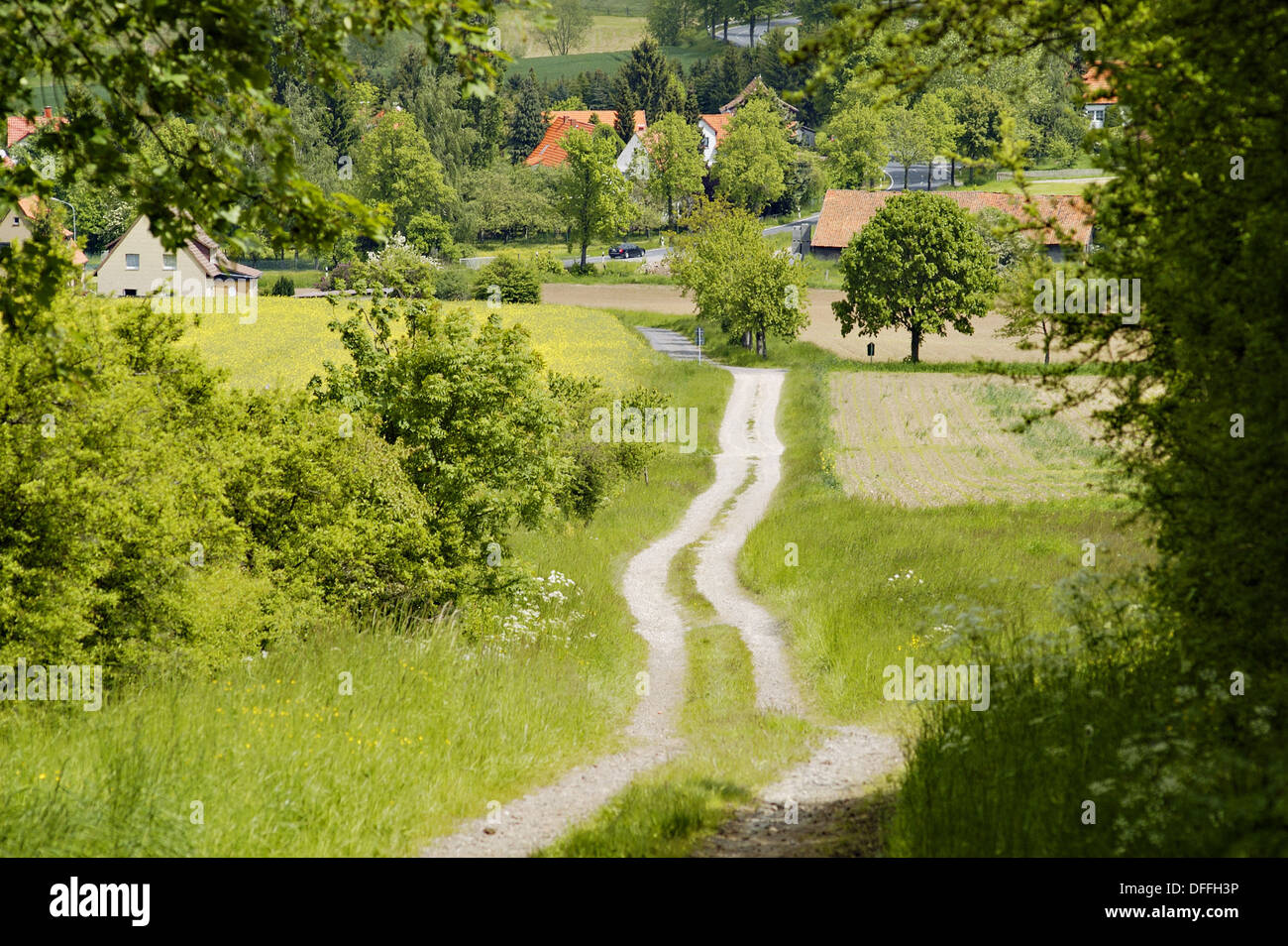 Tipico paesaggio nel sud della Bassa Sassonia vicino a Gottinga. Germania Foto Stock