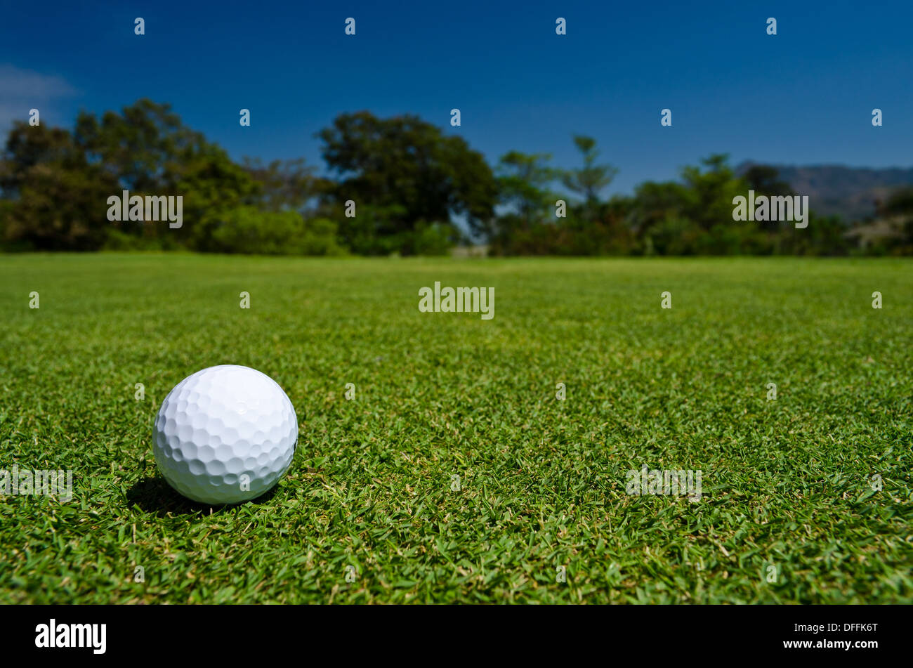 Una sfera di glof sul campo verde Foto Stock