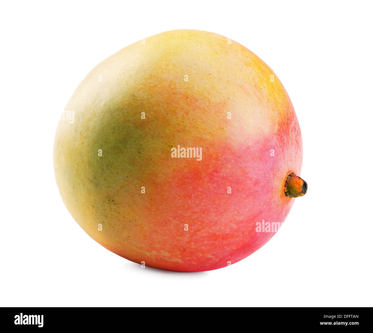 Mango Fruit isolati su sfondo bianco Foto Stock