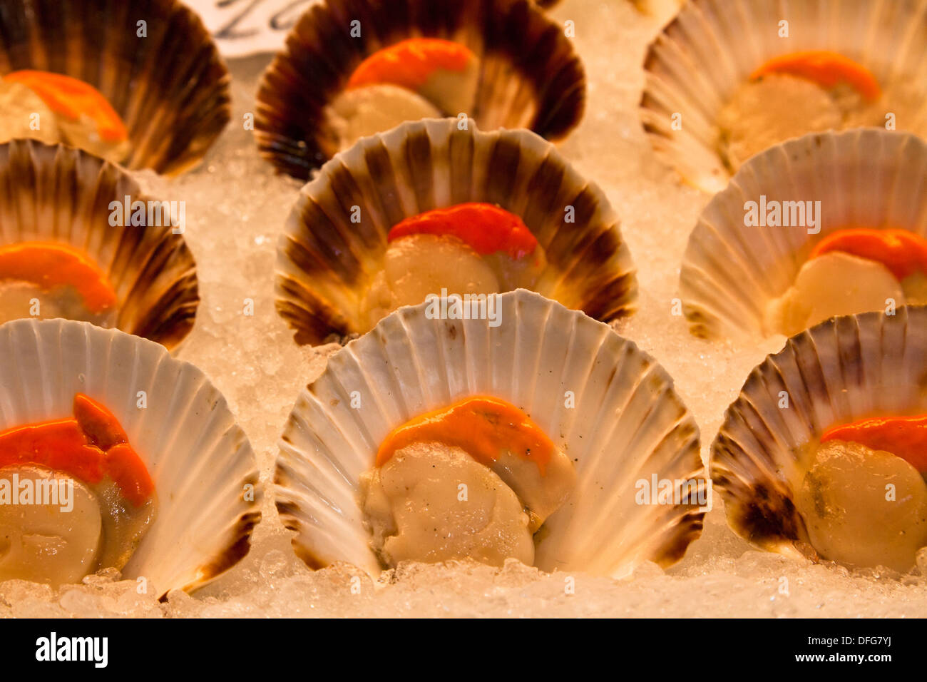 Diversi capesante in esposizione al mercato del pesce a Venezia, Italia e  Europa Foto stock - Alamy