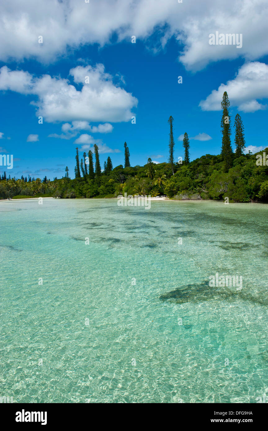 Baia de Oro, Île des Pins, Nuova Caledonia, Francia Foto Stock