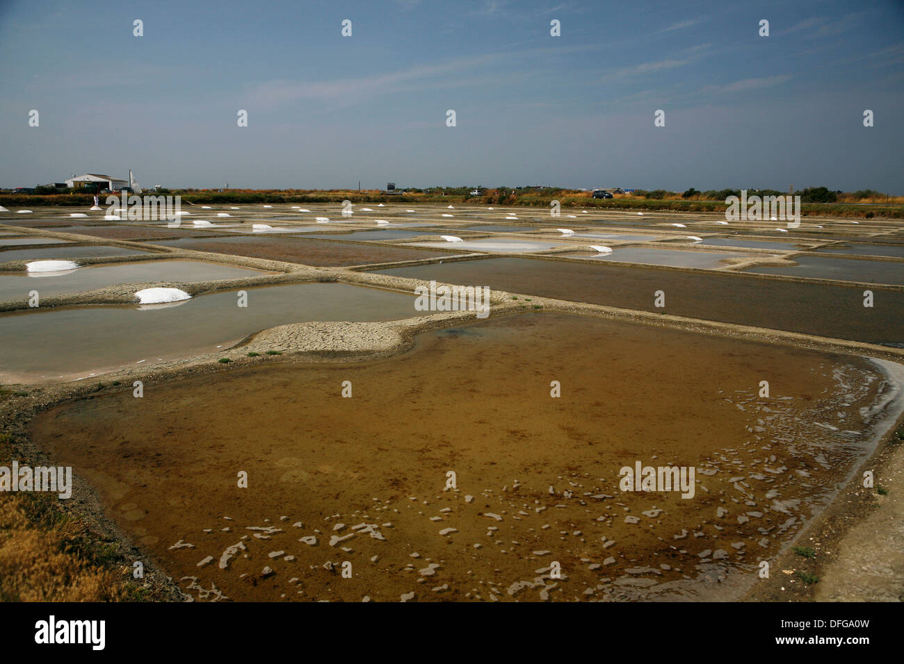 Fattoria di sale, Noirmoutier-en-l'Île, Île de Noirmoutier, Pays de la Loire, Francia Foto Stock