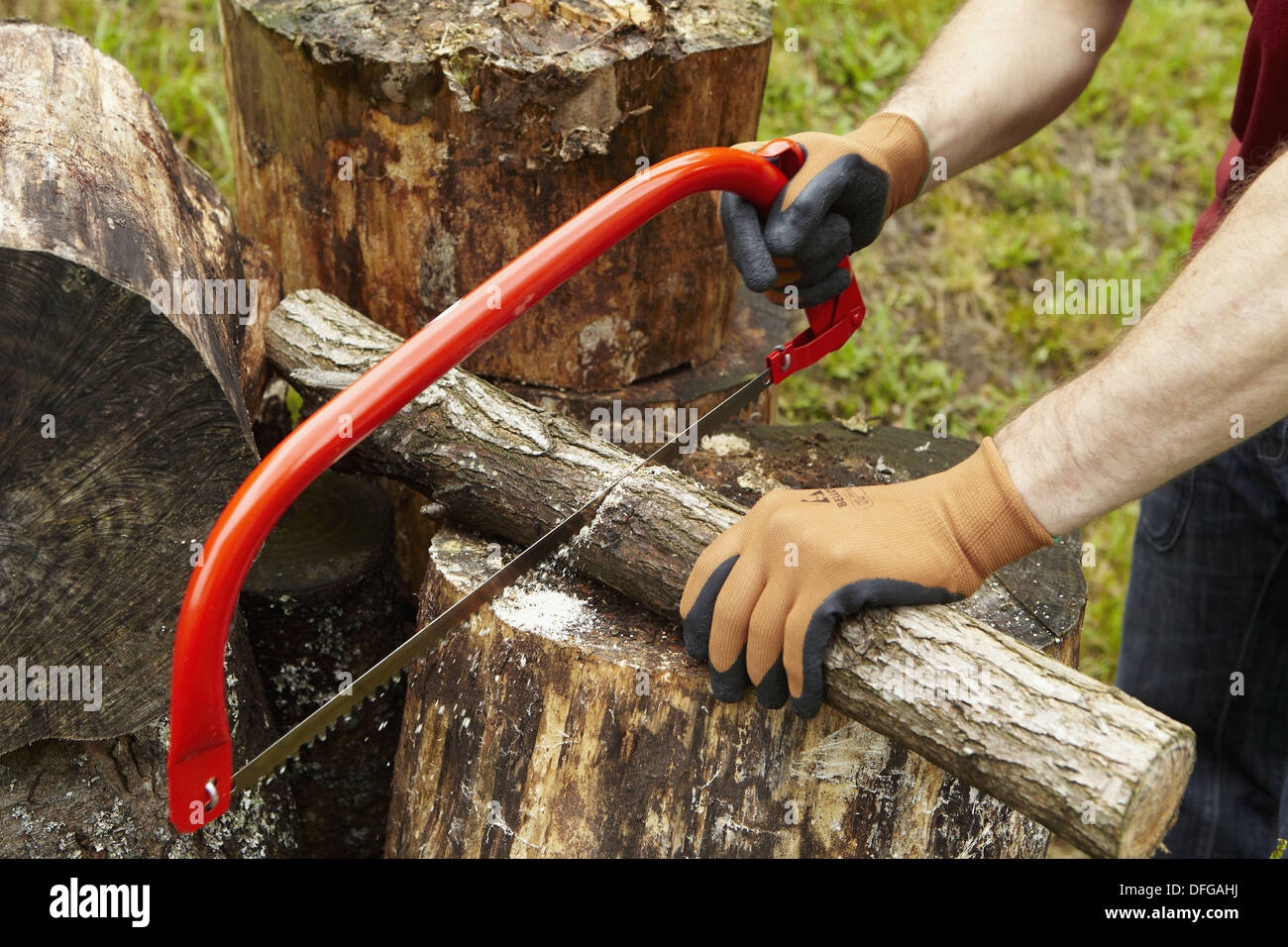 Sega ad arco per tagliare legno, strumento mano, agricoltura, Guipuzcoa,  Paesi Baschi Foto stock - Alamy