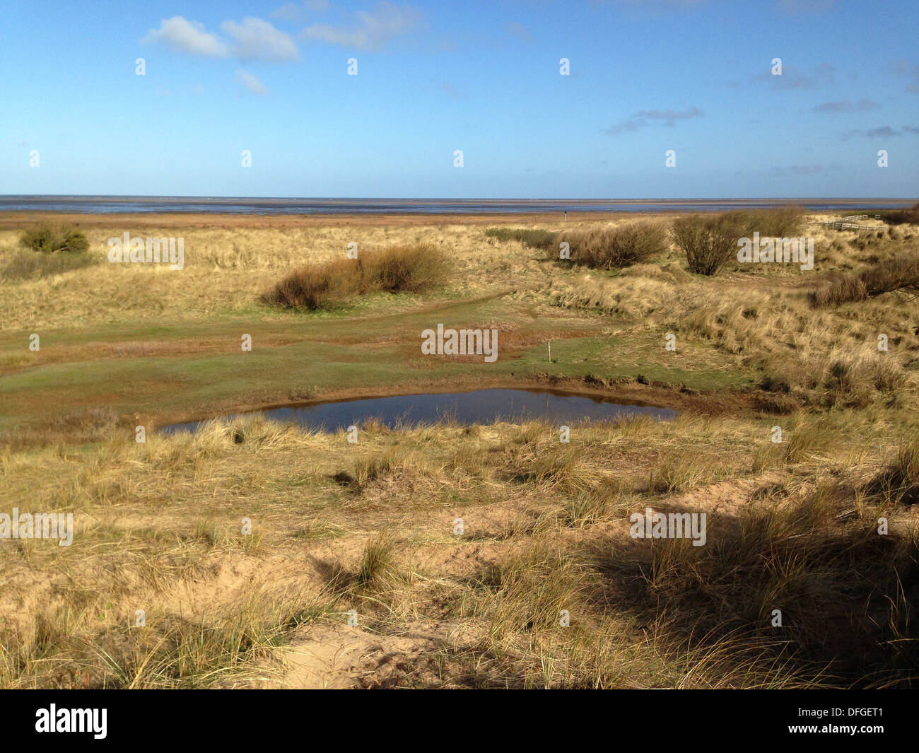 Stagno su riserva naturale Southport Lancashire Foto Stock