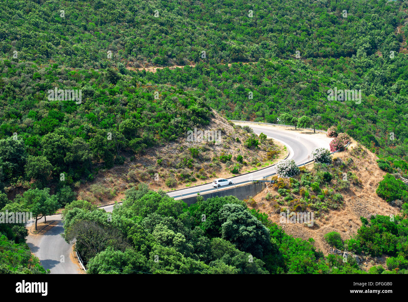 Strada di Montagna. Sardegna, Italia.caratteristico paesaggio vista in Sardegna, vista di natura sarda e auto sulla strada Foto Stock